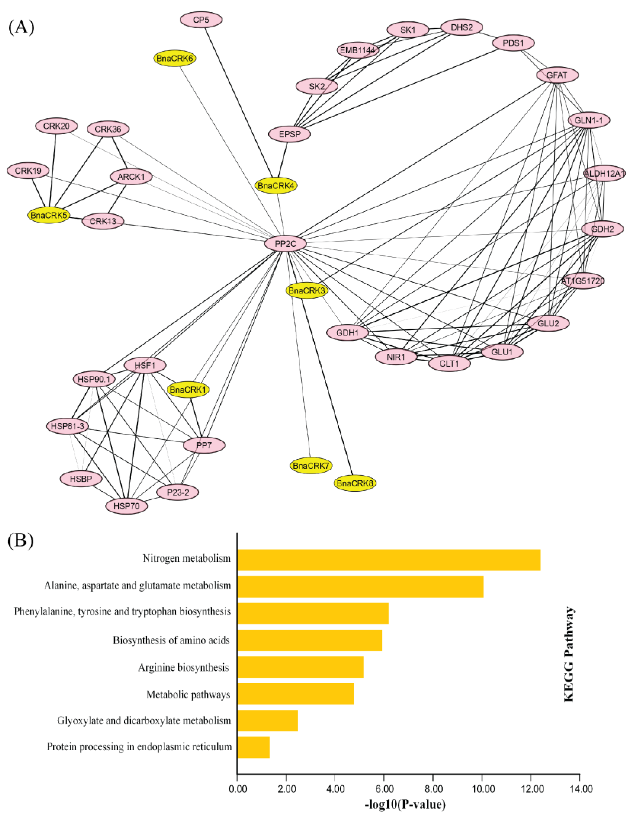 Ijms 24 00511 g006 Ijms 24 00511 g006