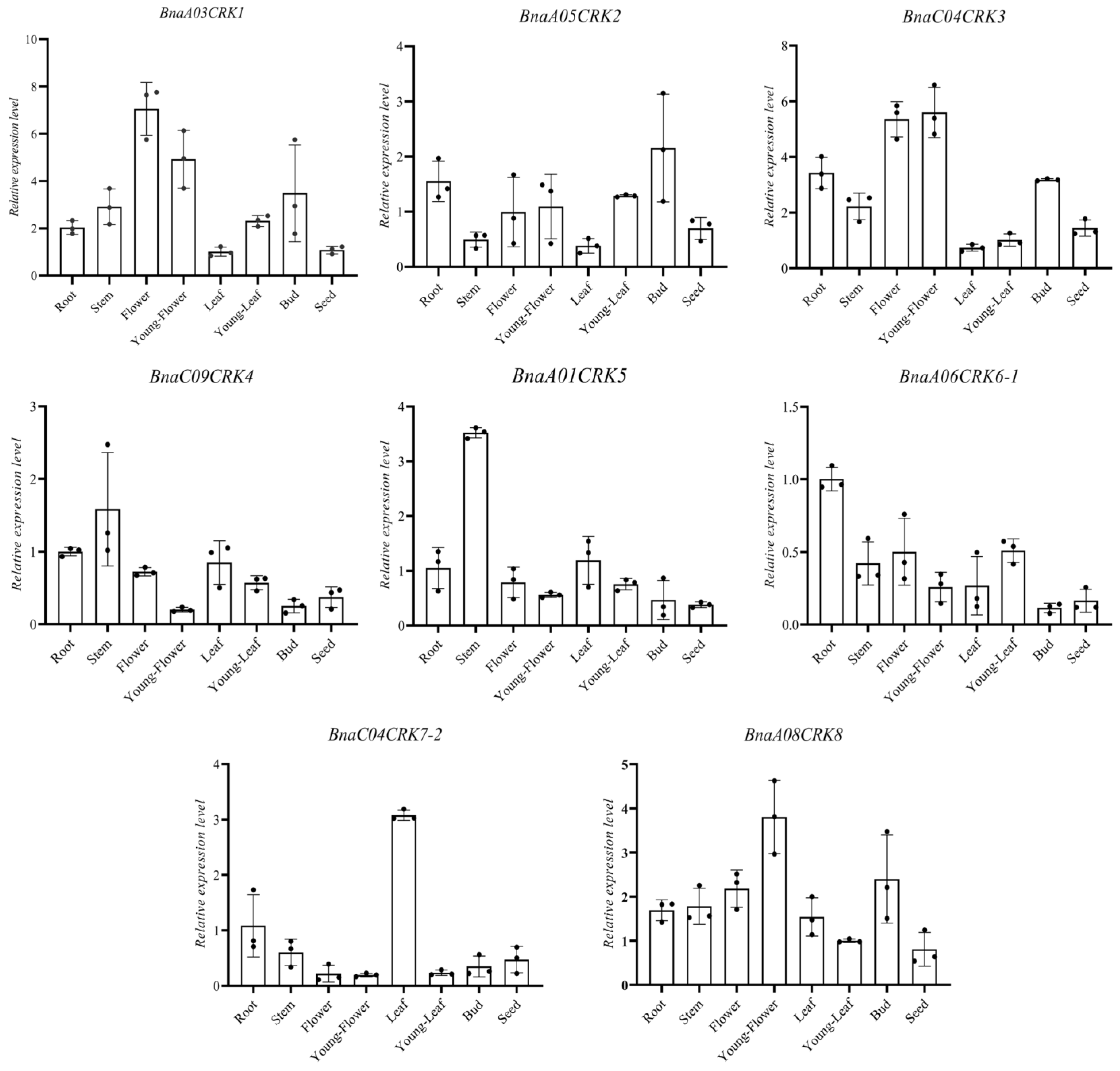 Ijms 24 00511 g007 Ijms 24 00511 g007