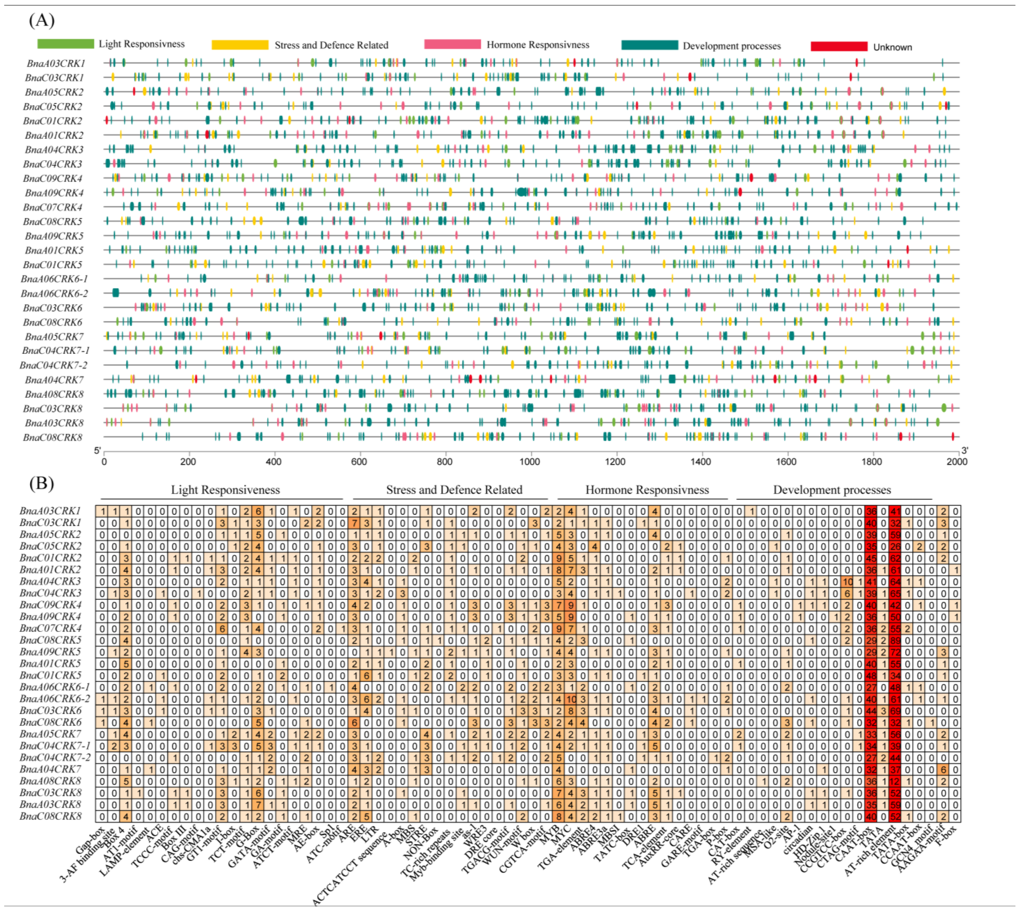 Ijms 24 00511 g008 Ijms 24 00511 g008