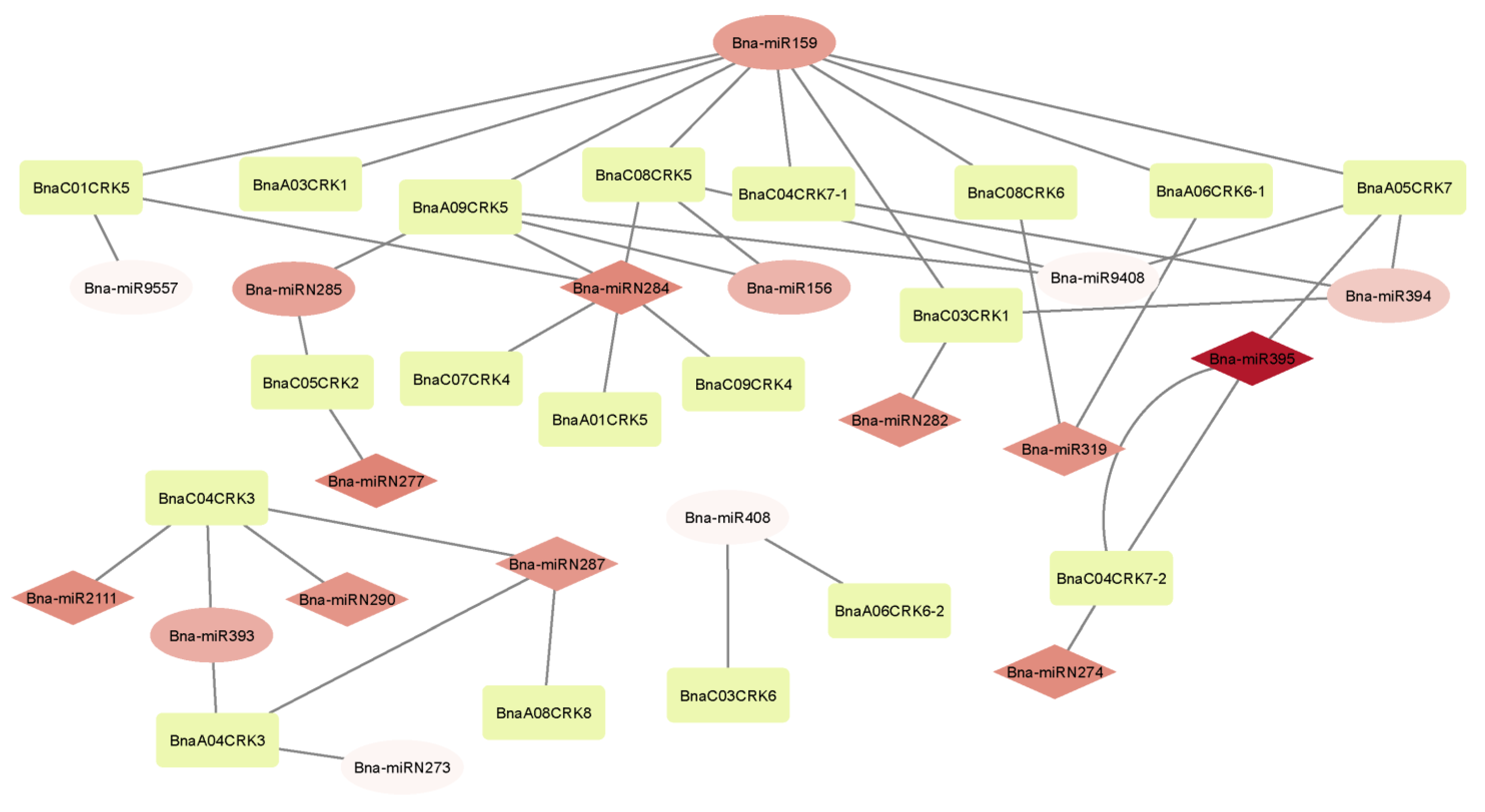 Ijms 24 00511 g010 Ijms 24 00511 g010