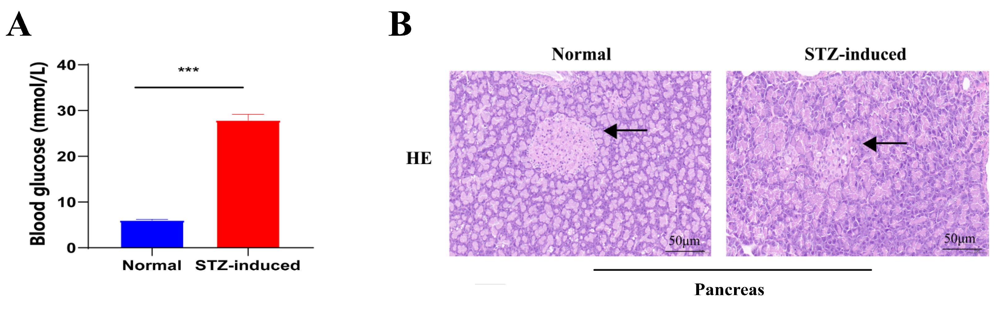 Ijms 24 00523 g001 Ijms 24 00523 g001