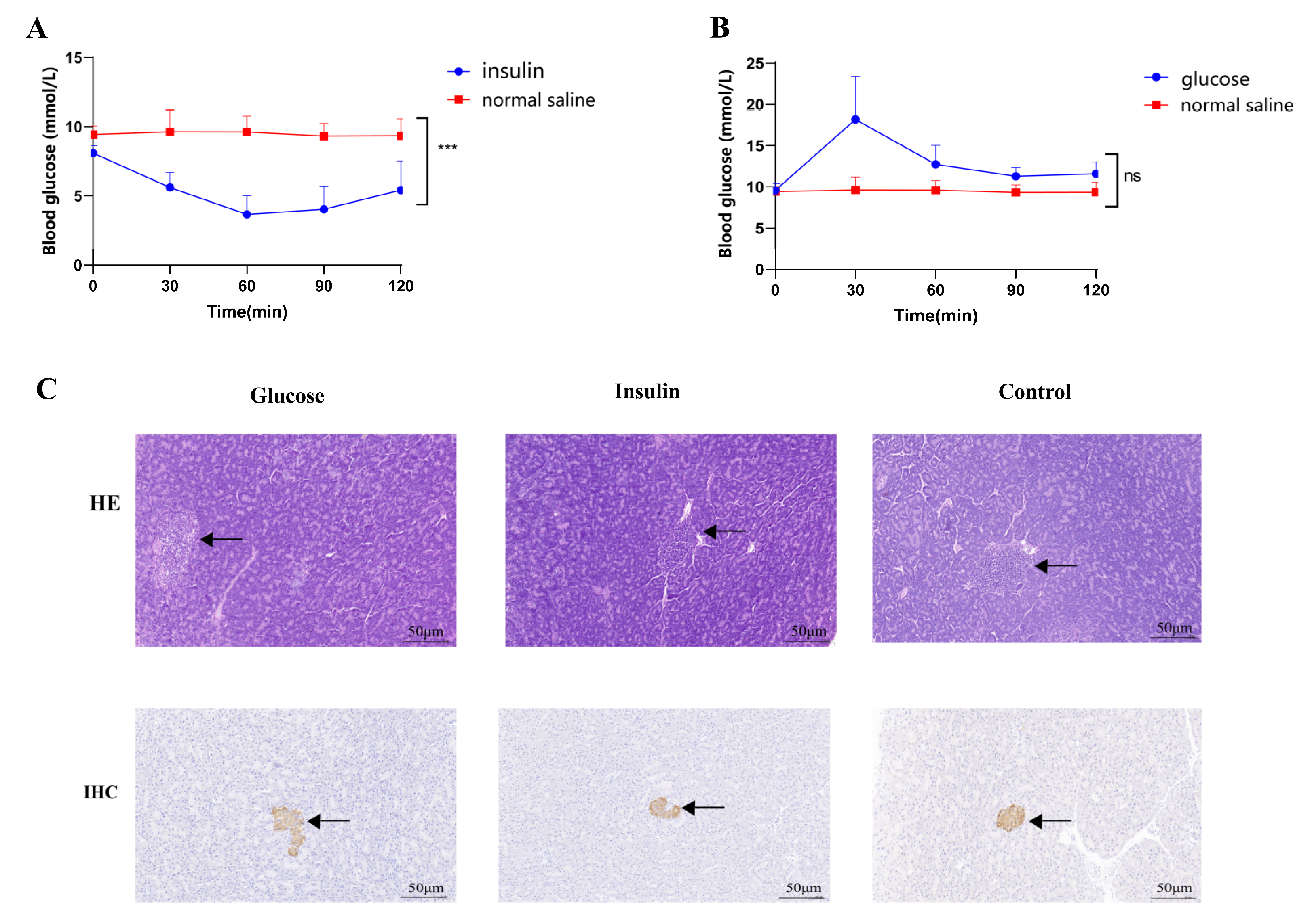 Ijms 24 00523 g002 Ijms 24 00523 g002