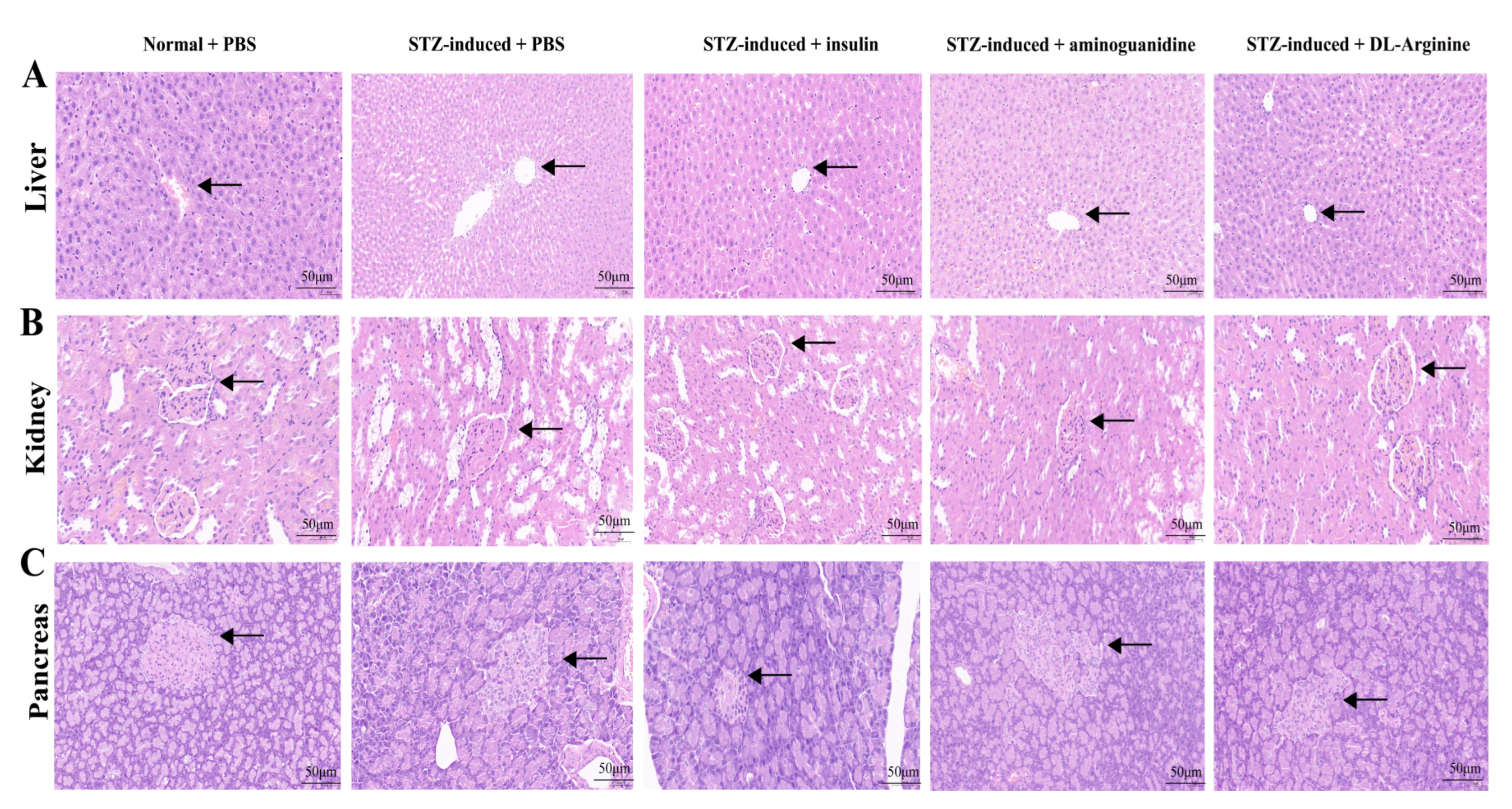 Ijms 24 00523 g011 Ijms 24 00523 g011