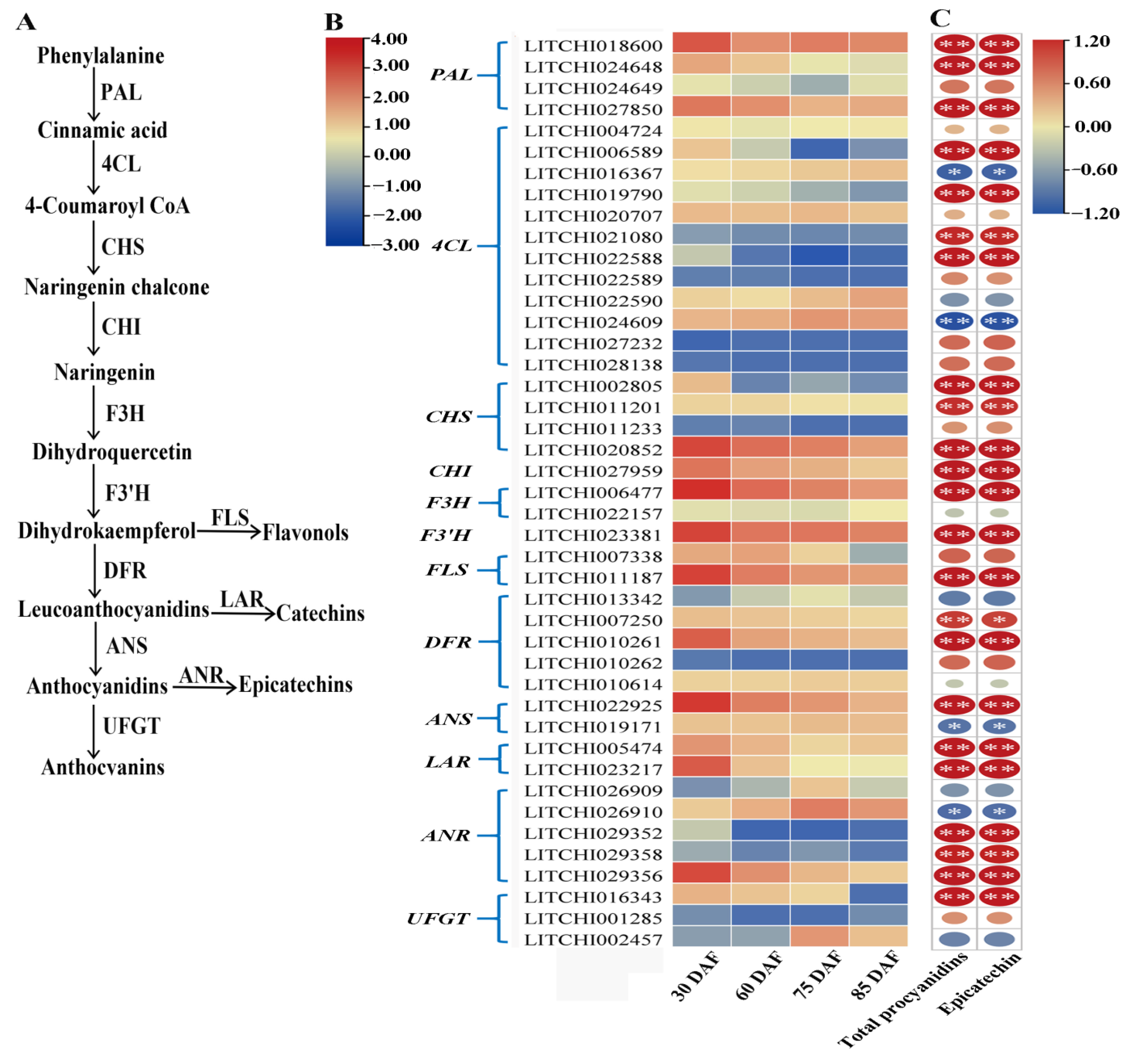 Ijms 24 00532 g004 Ijms 24 00532 g004