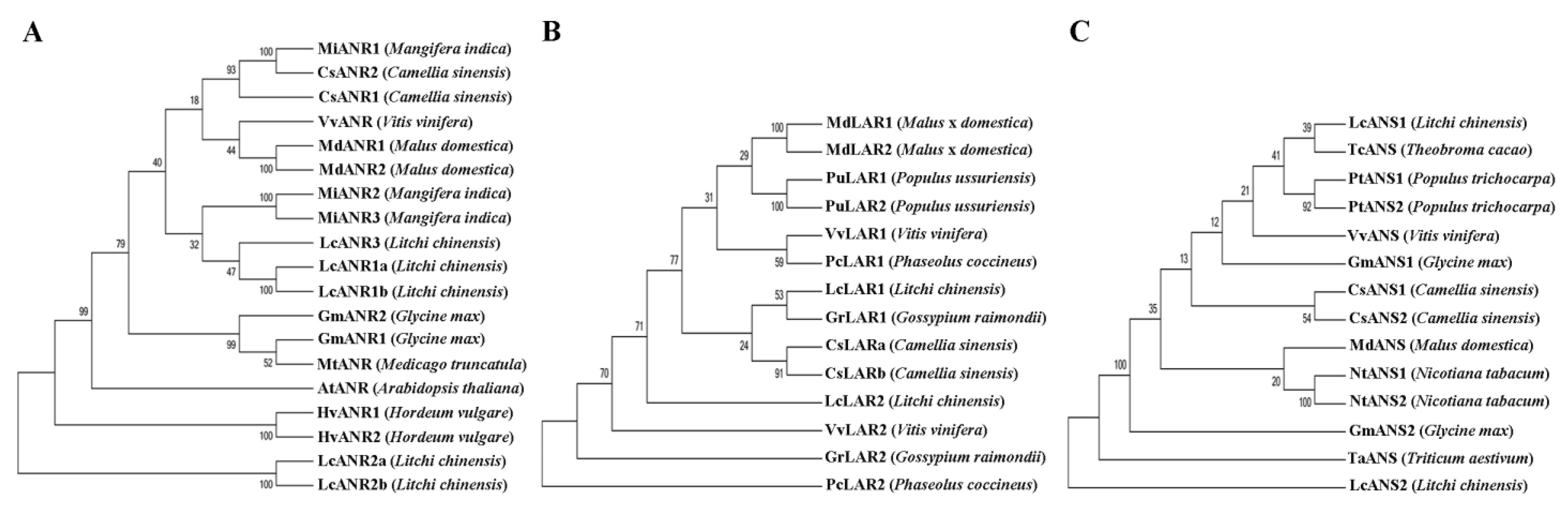 Ijms 24 00532 g006 Ijms 24 00532 g006