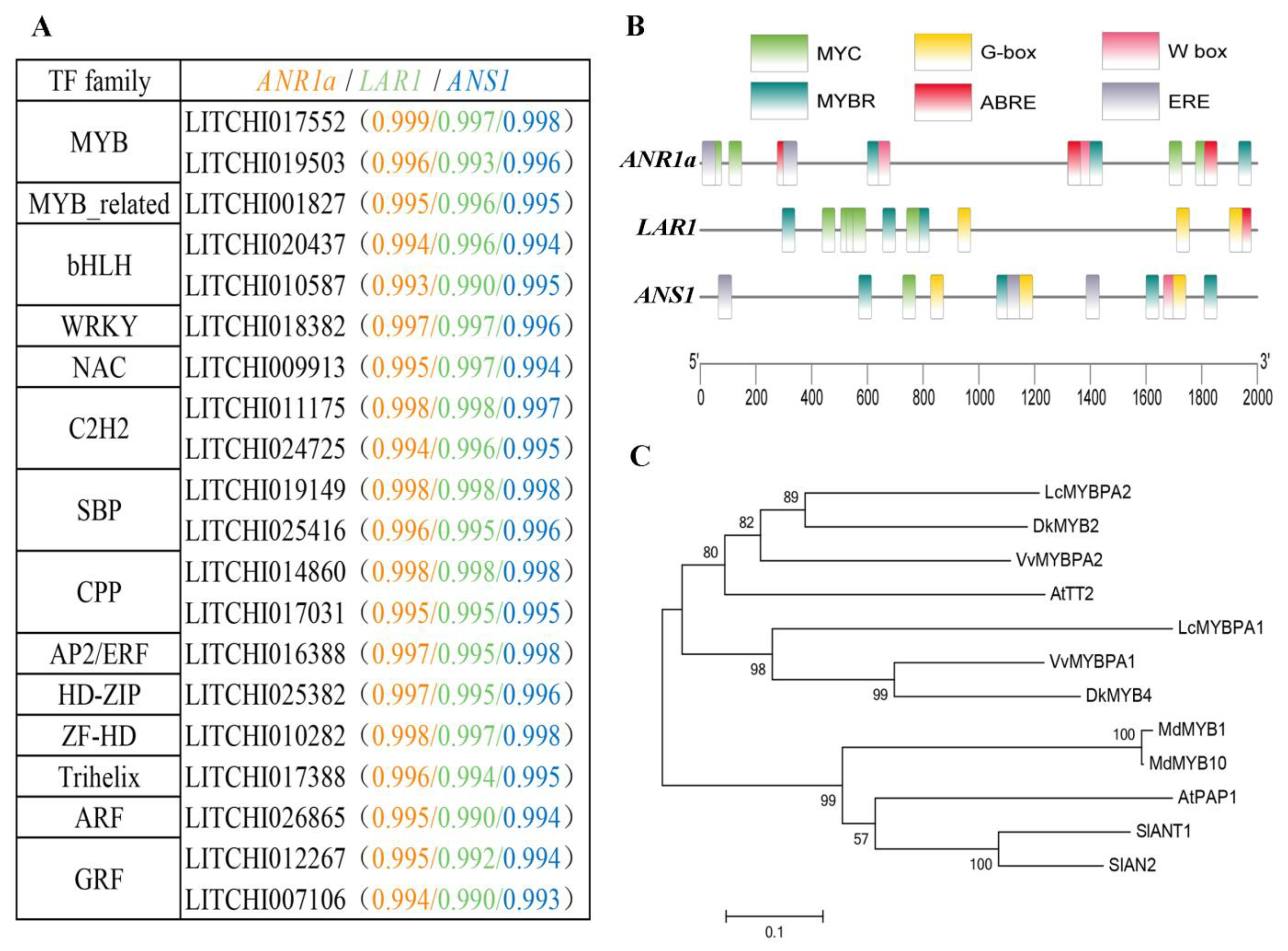 Ijms 24 00532 g007 Ijms 24 00532 g007