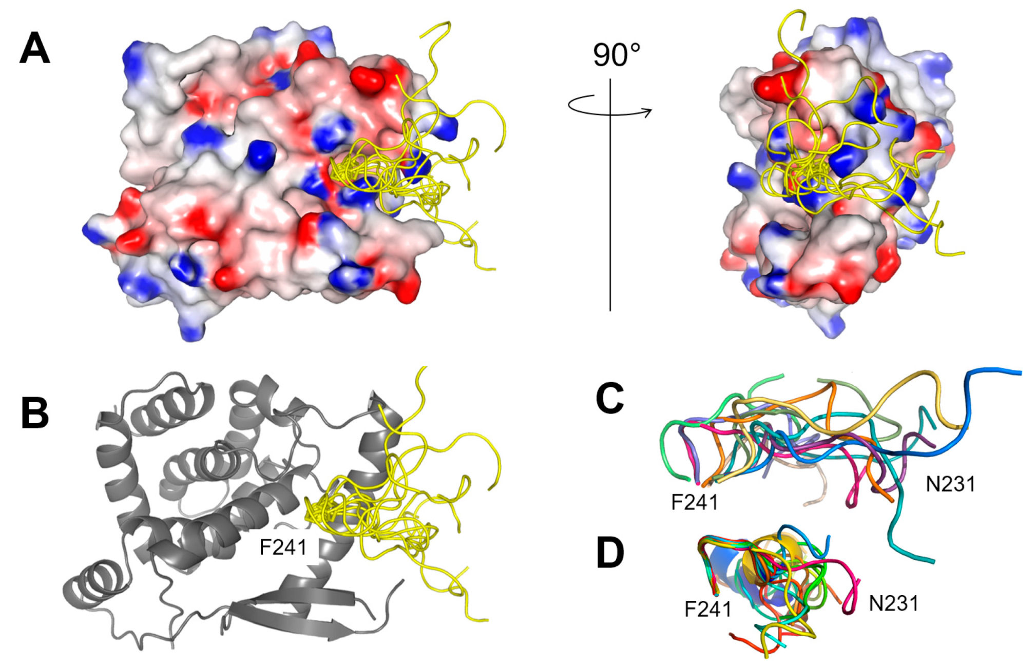 Ijms 24 00569 g009 Ijms 24 00569 g009