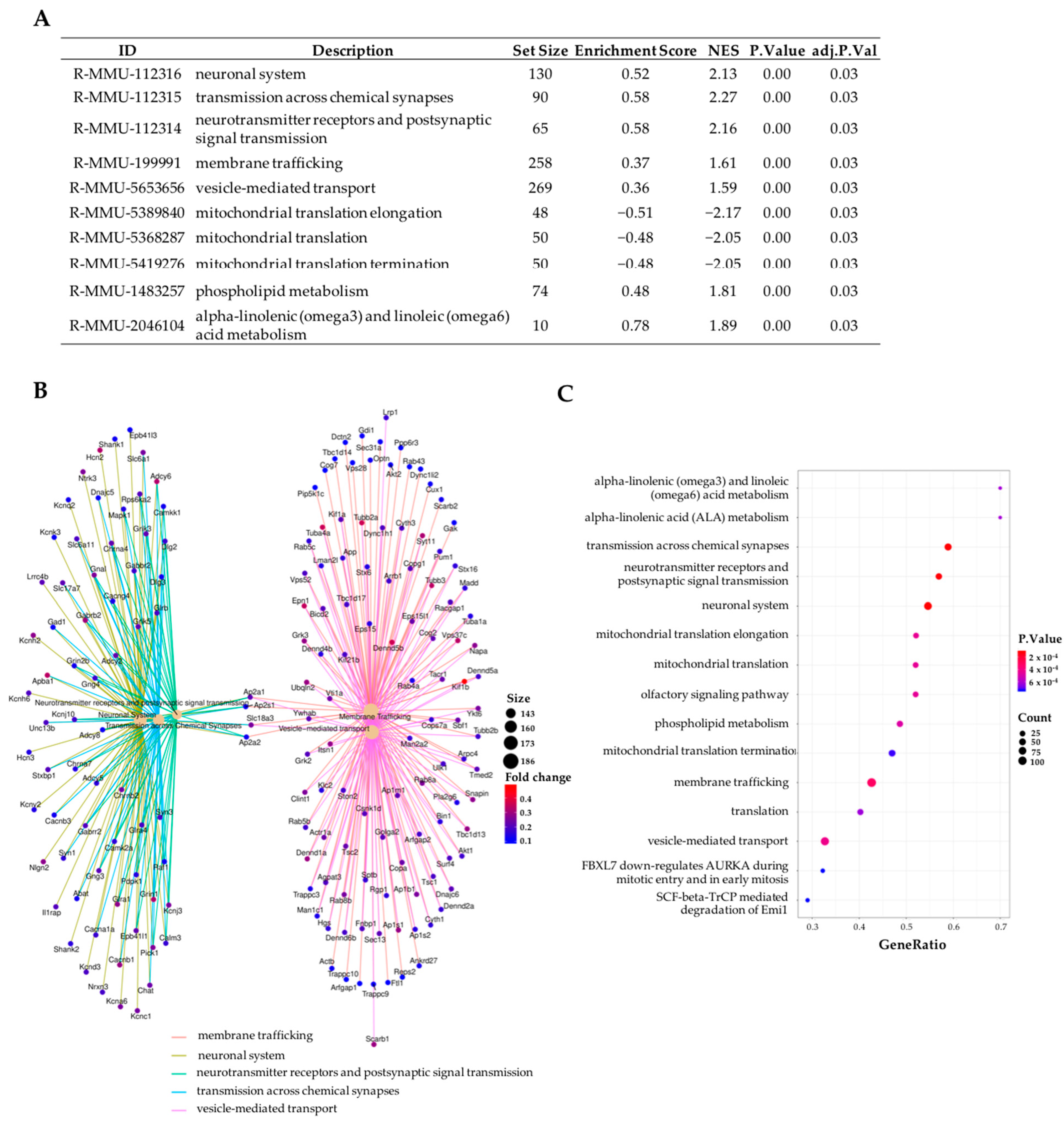 Ijms 24 00571 g004 Ijms 24 00571 g004