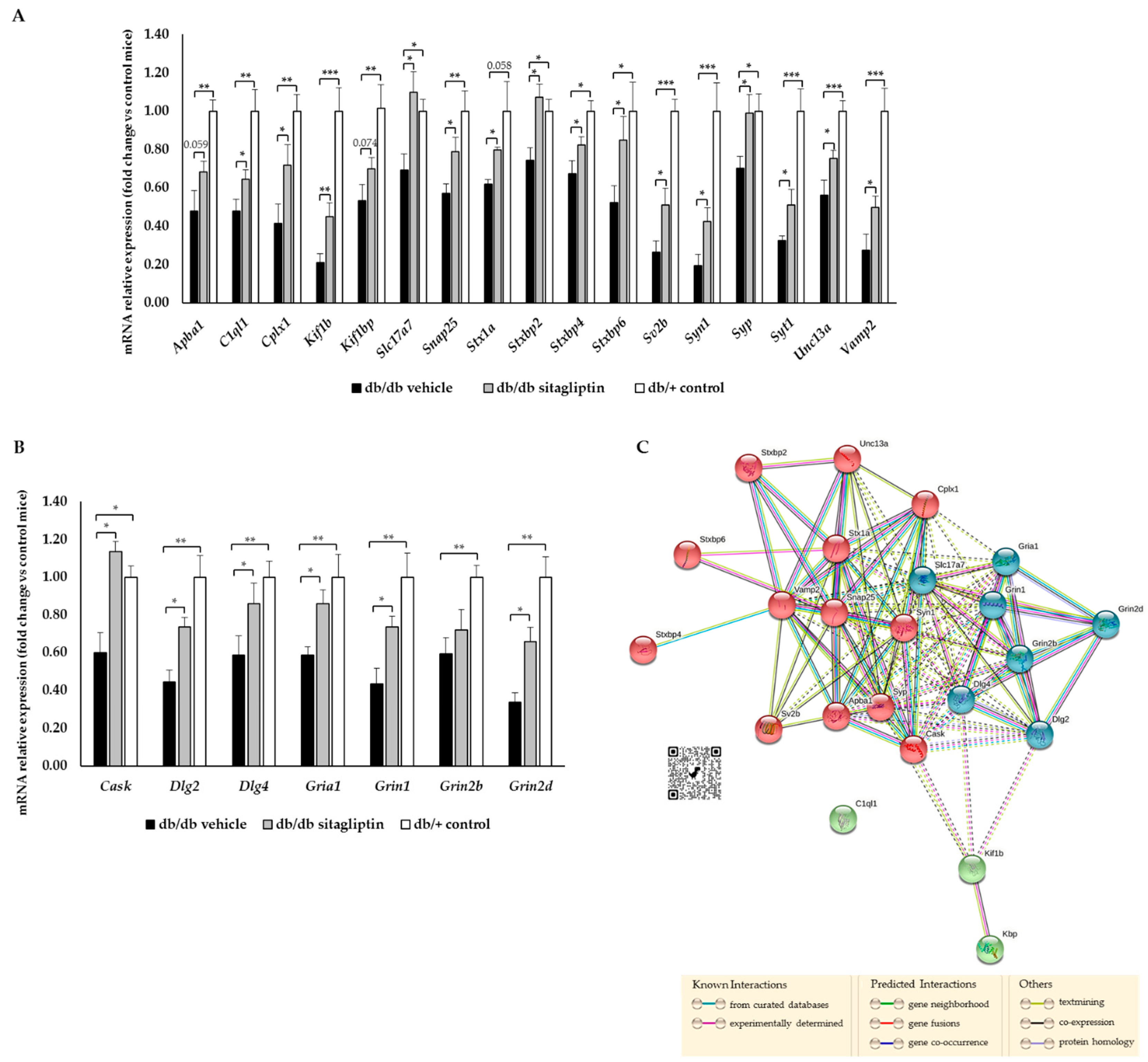 Ijms 24 00571 g007 Ijms 24 00571 g007