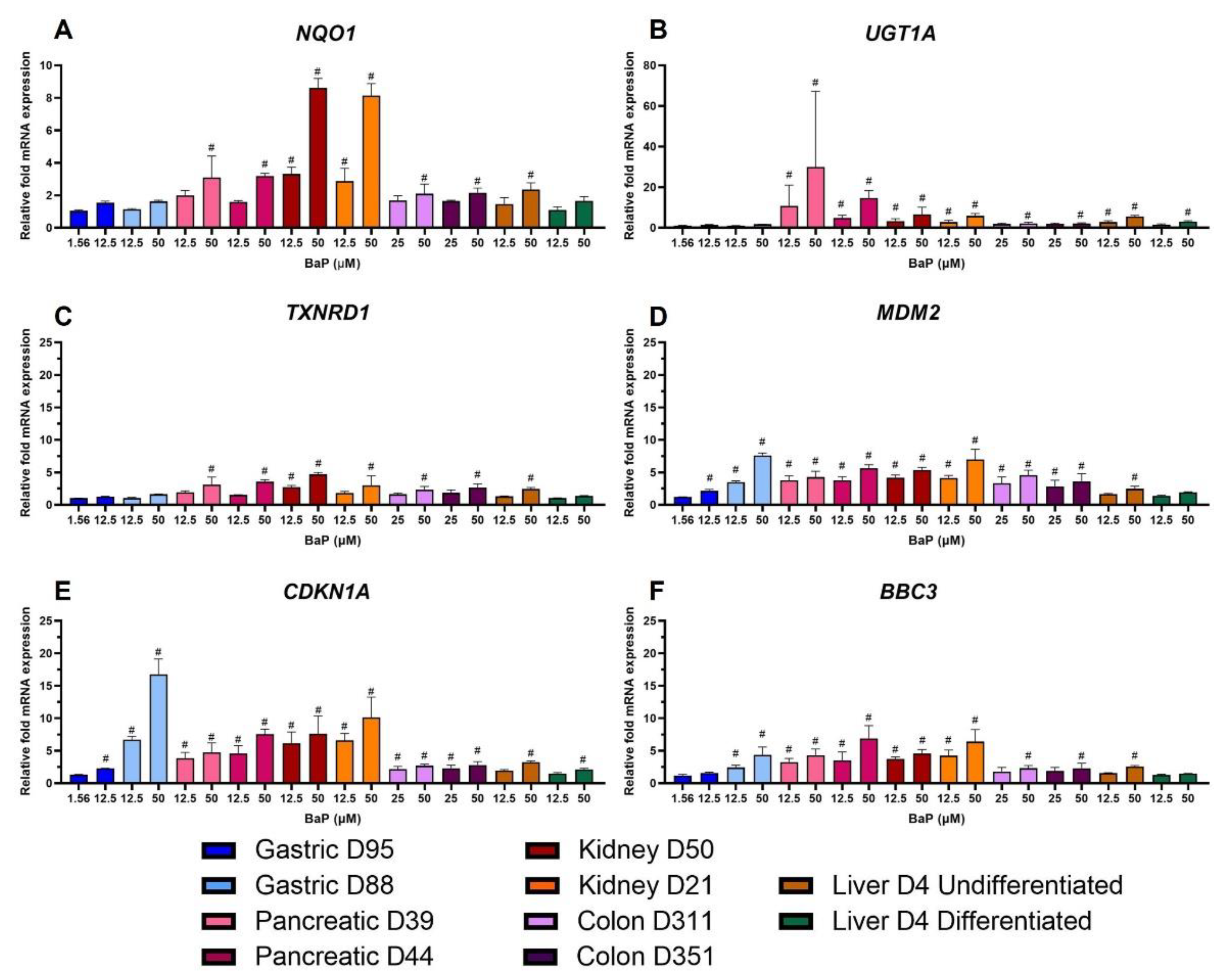 Ijms 24 00606 g005 Ijms 24 00606 g005