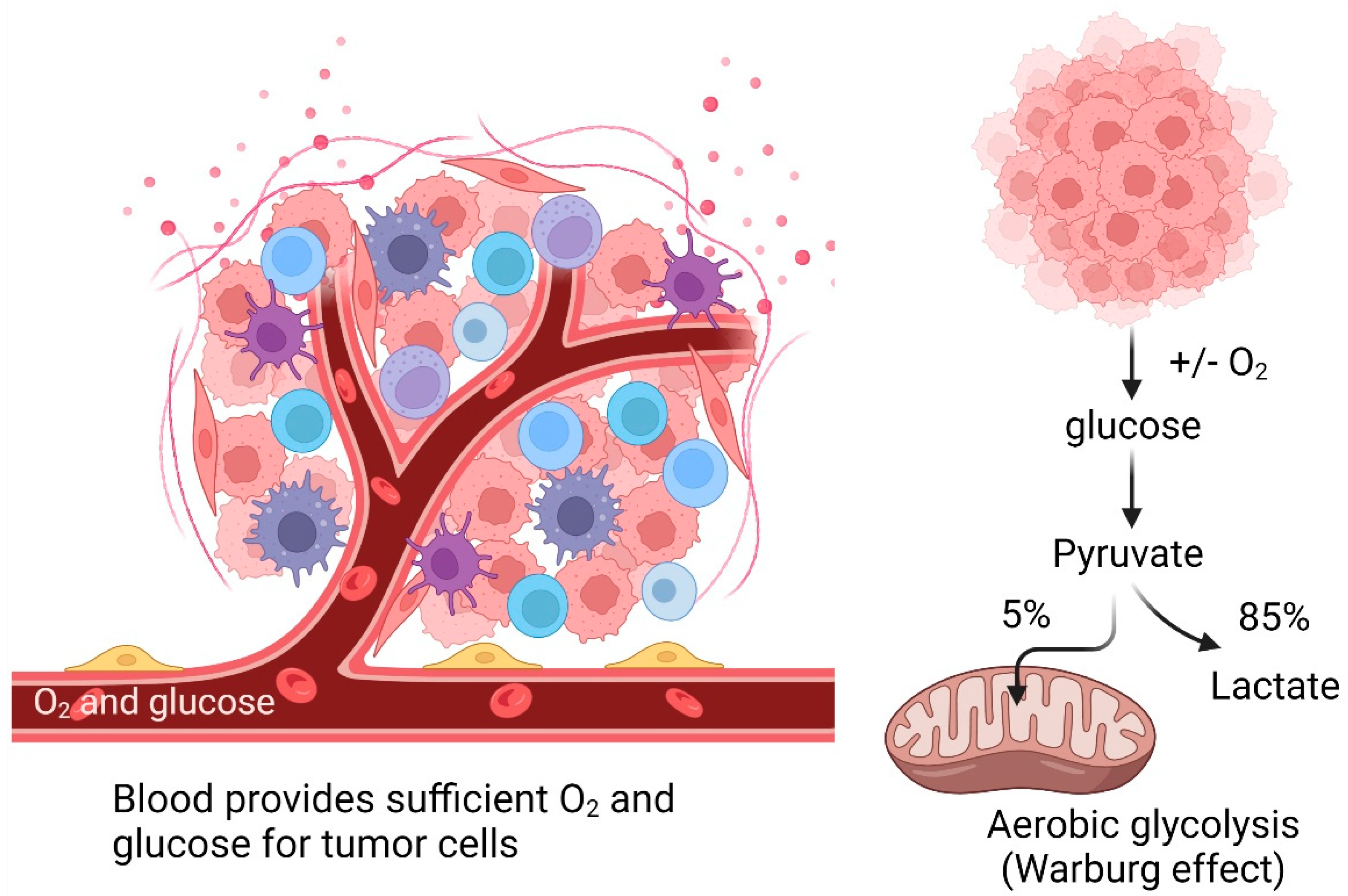 Ijms 24 00608 g003 Ijms 24 00608 g003