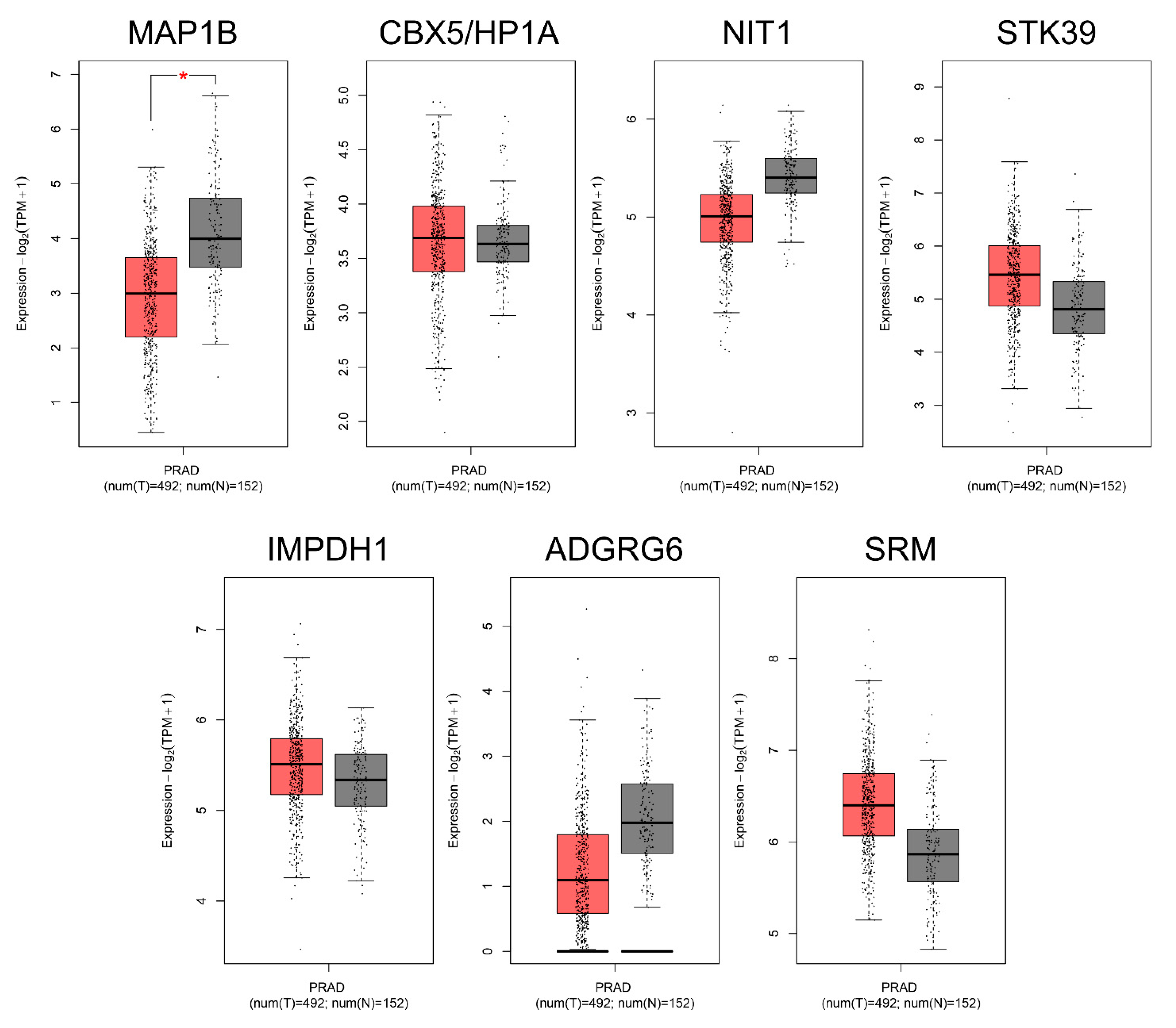 Ijms 24 00617 g005 Ijms 24 00617 g005