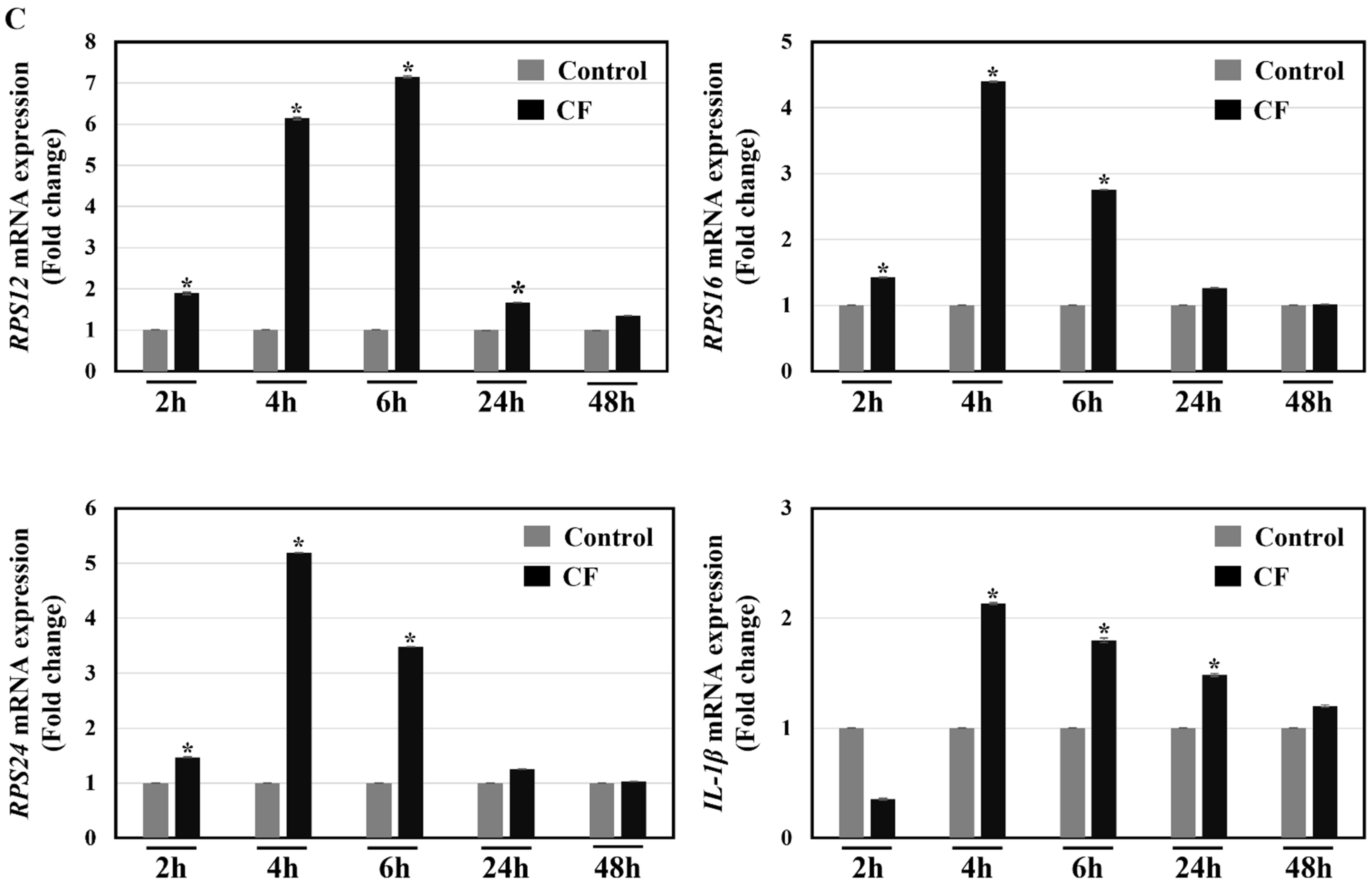 Ijms 24 00618 g011b Ijms 24 00618 g011b