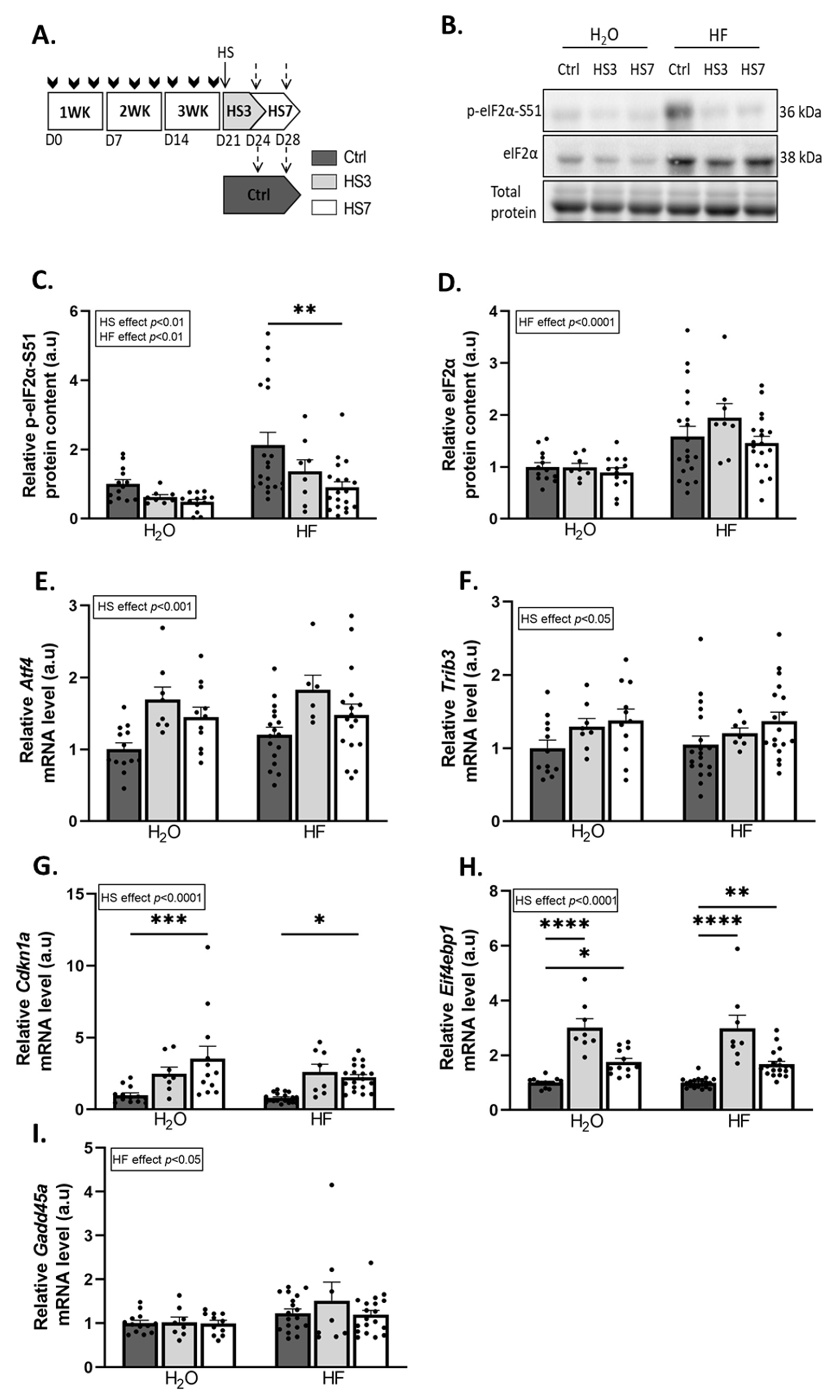 Ijms 24 00621 g002 Ijms 24 00621 g002