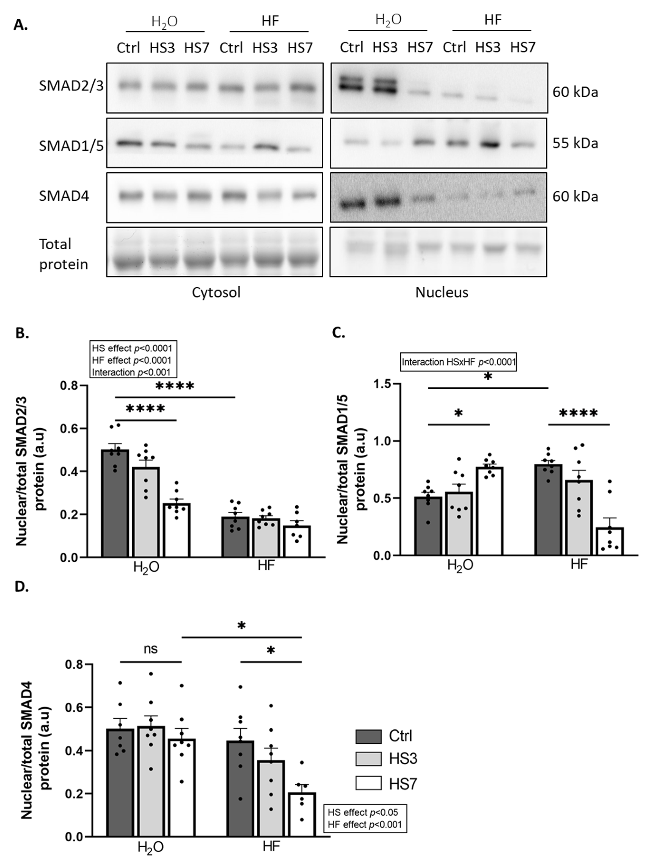 Ijms 24 00621 g004 Ijms 24 00621 g004