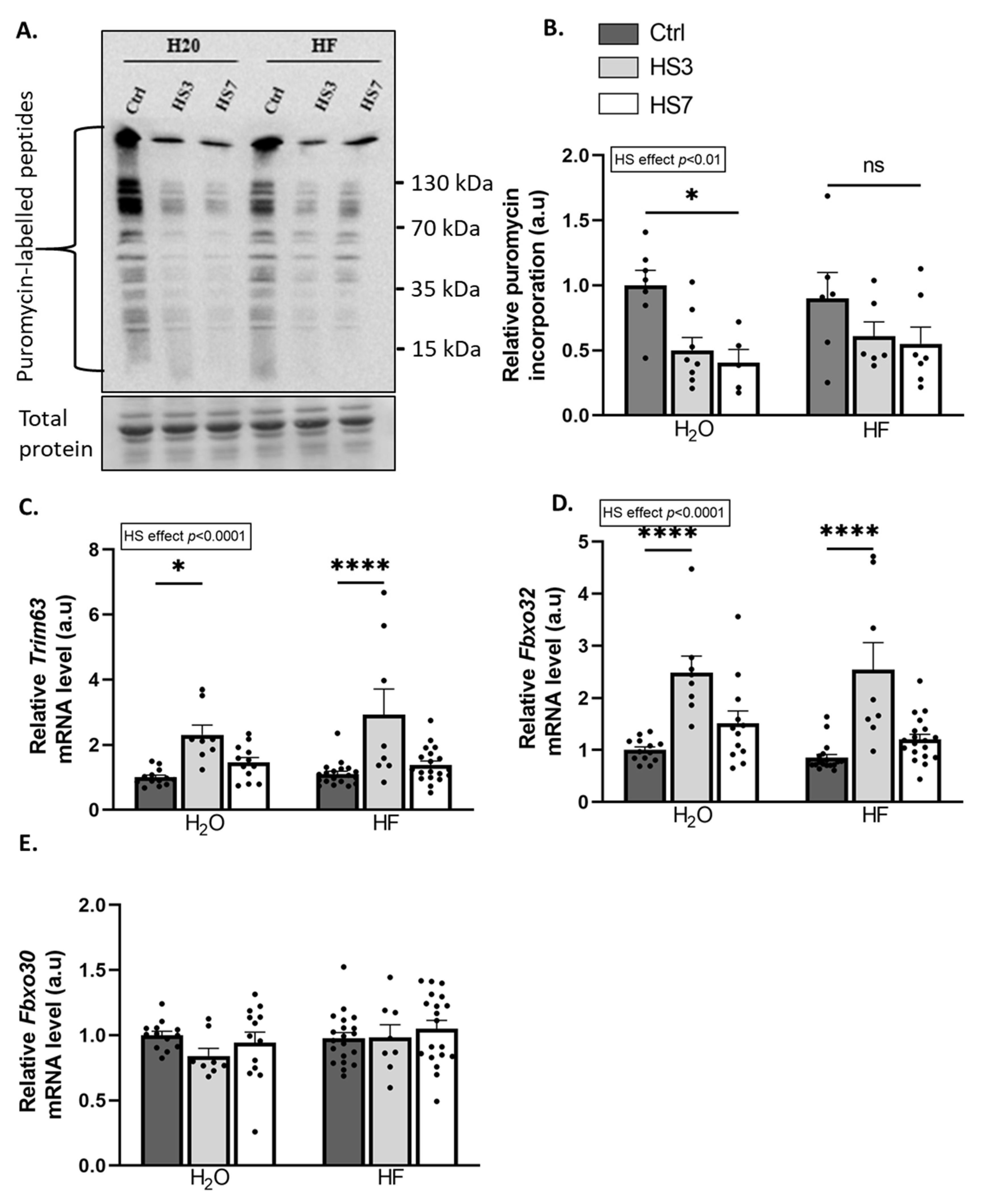 Ijms 24 00621 g005 Ijms 24 00621 g005