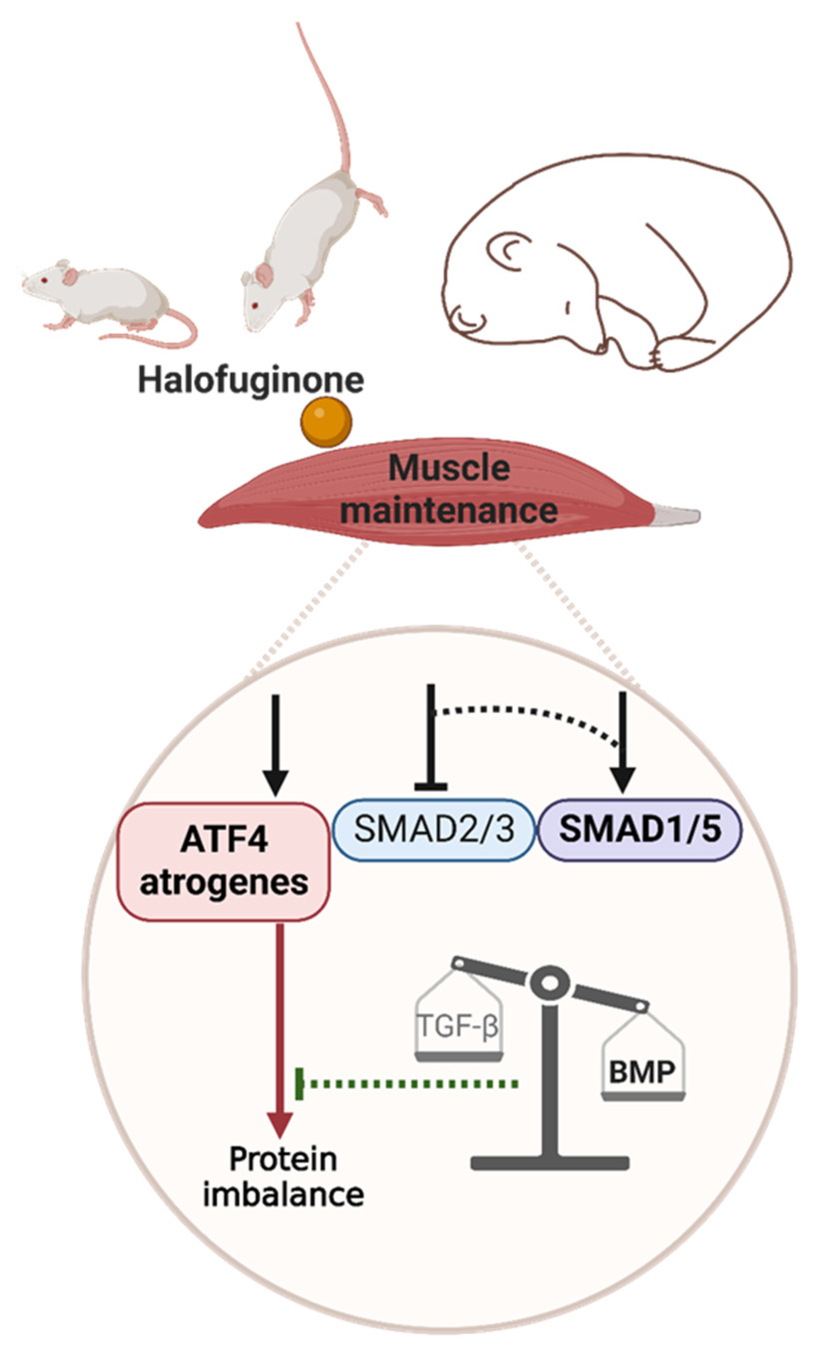 Ijms 24 00621 g007 Ijms 24 00621 g007