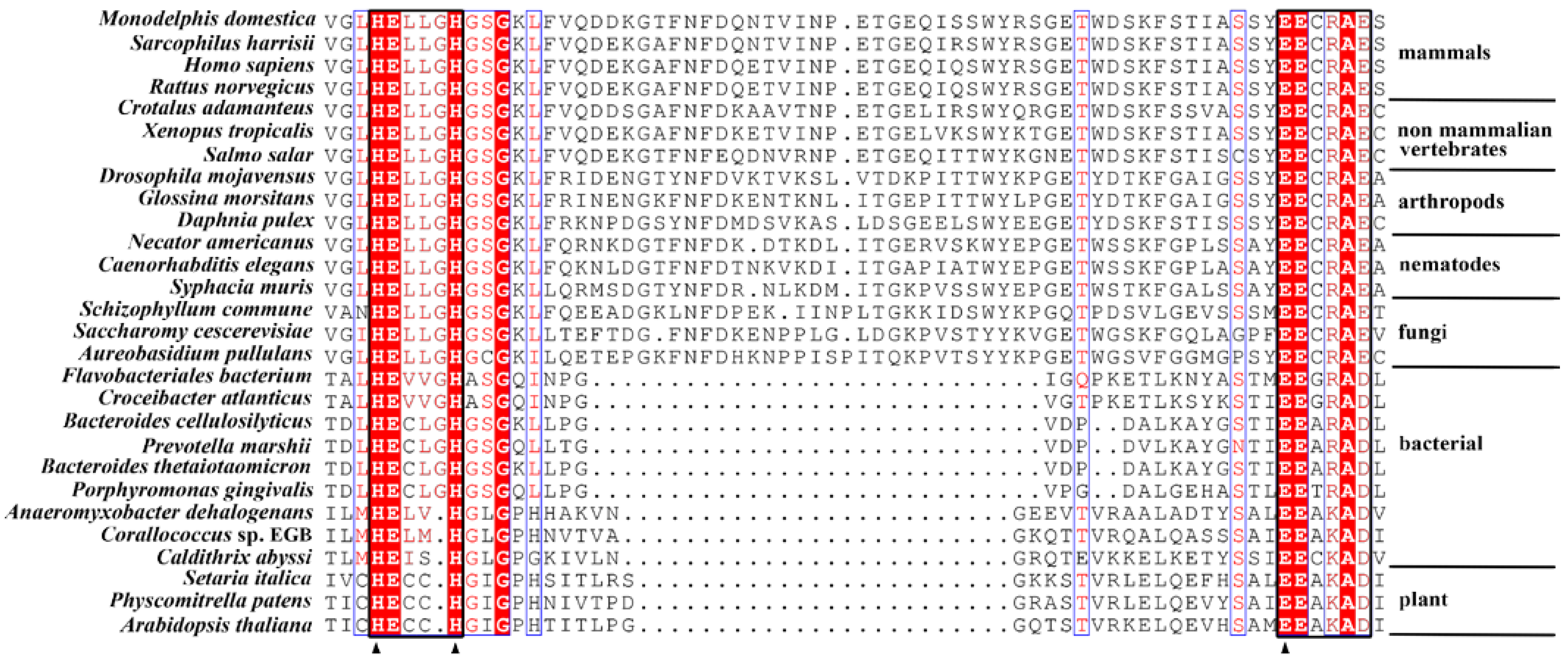 Ijms 24 00631 g001 Ijms 24 00631 g001