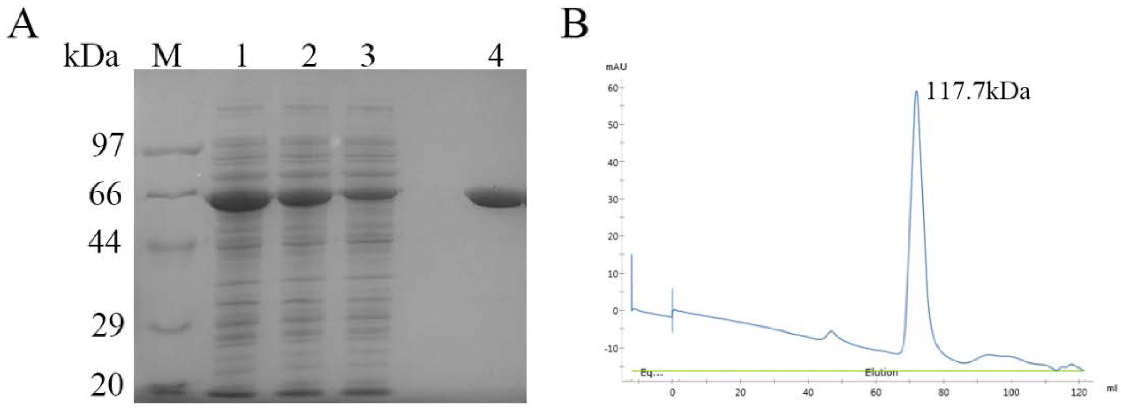 Ijms 24 00631 g002 Ijms 24 00631 g002