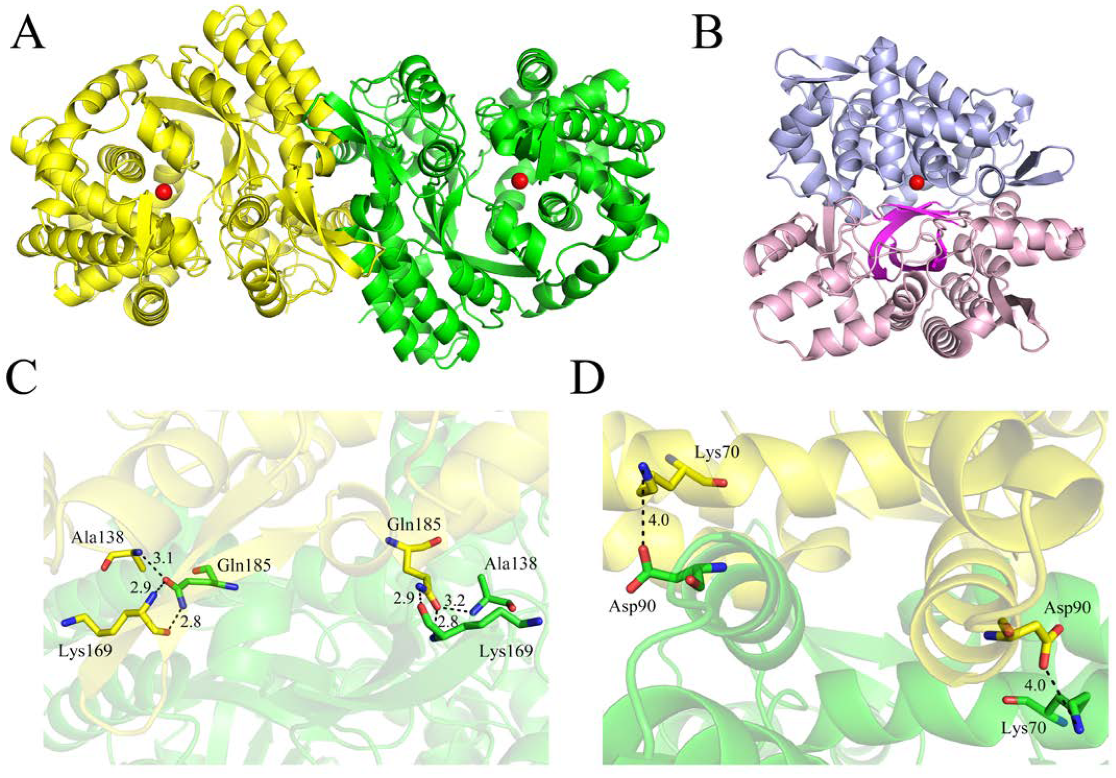 Ijms 24 00631 g005 Ijms 24 00631 g005