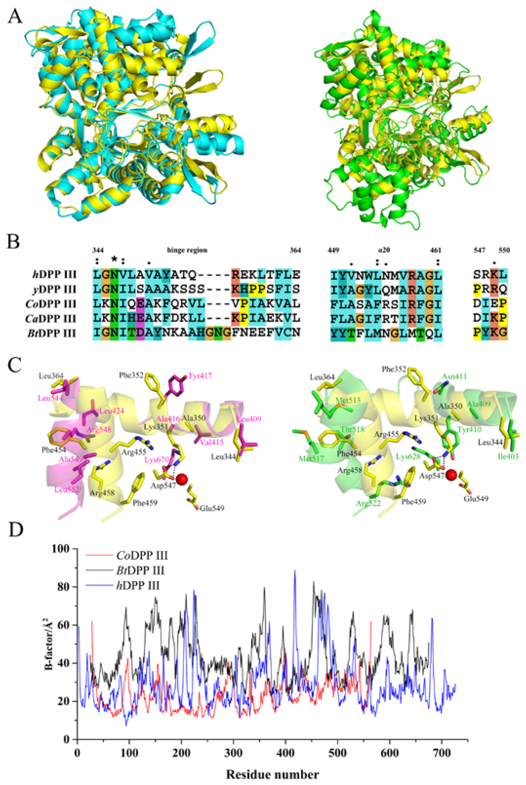 Ijms 24 00631 g006 Ijms 24 00631 g006