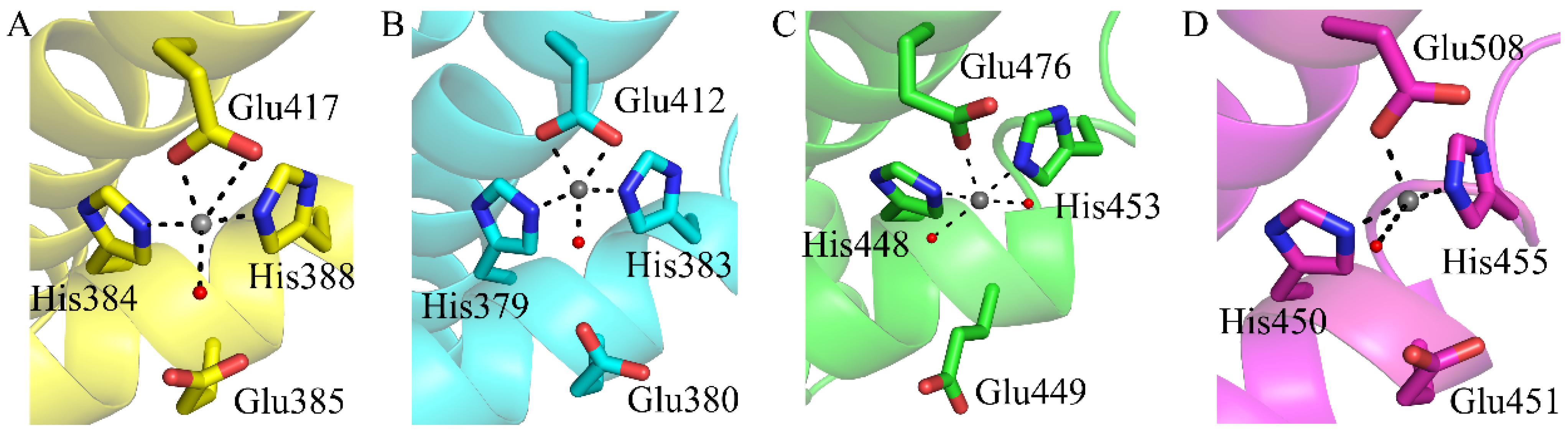 Ijms 24 00631 g007 Ijms 24 00631 g007