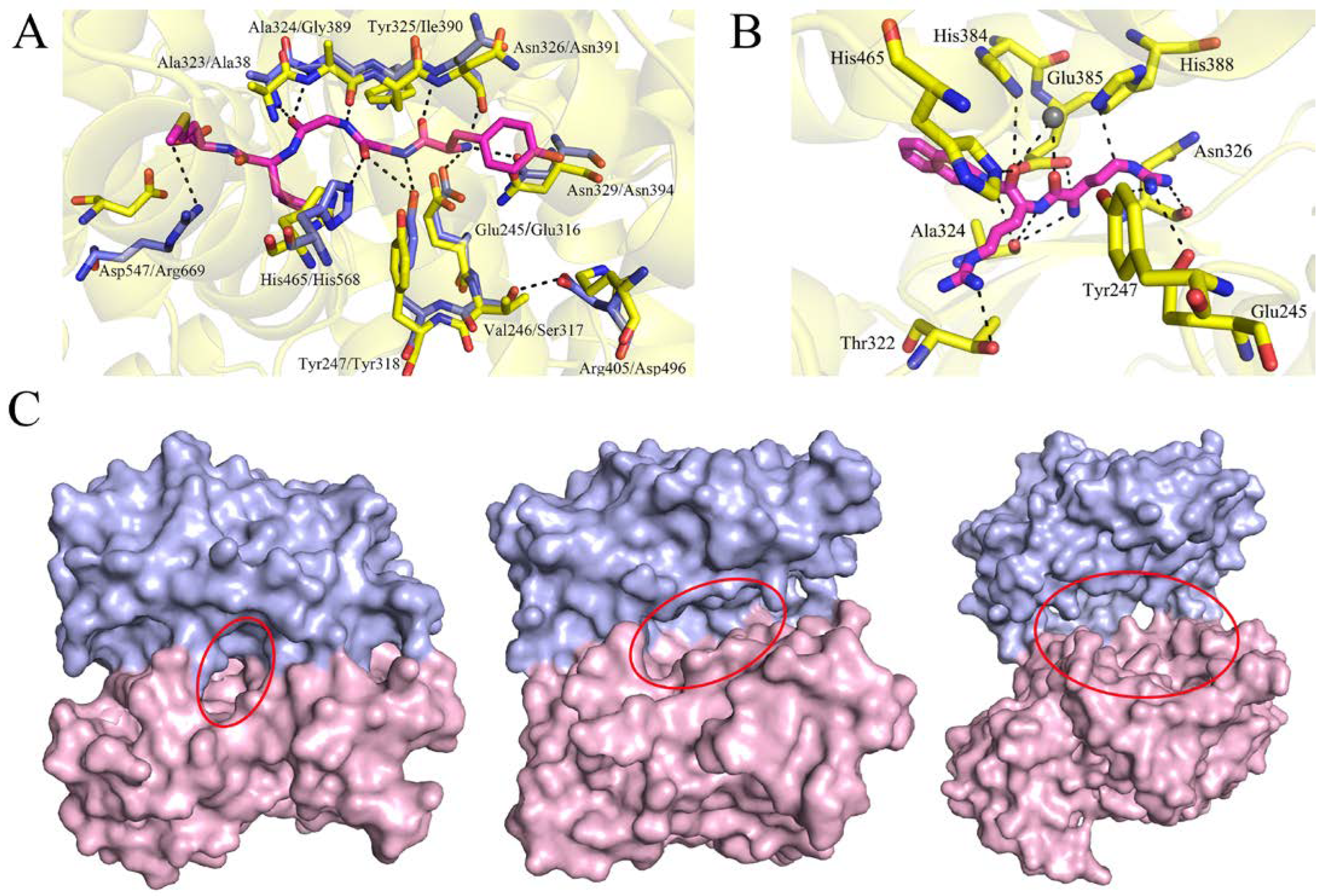 Ijms 24 00631 g008 Ijms 24 00631 g008