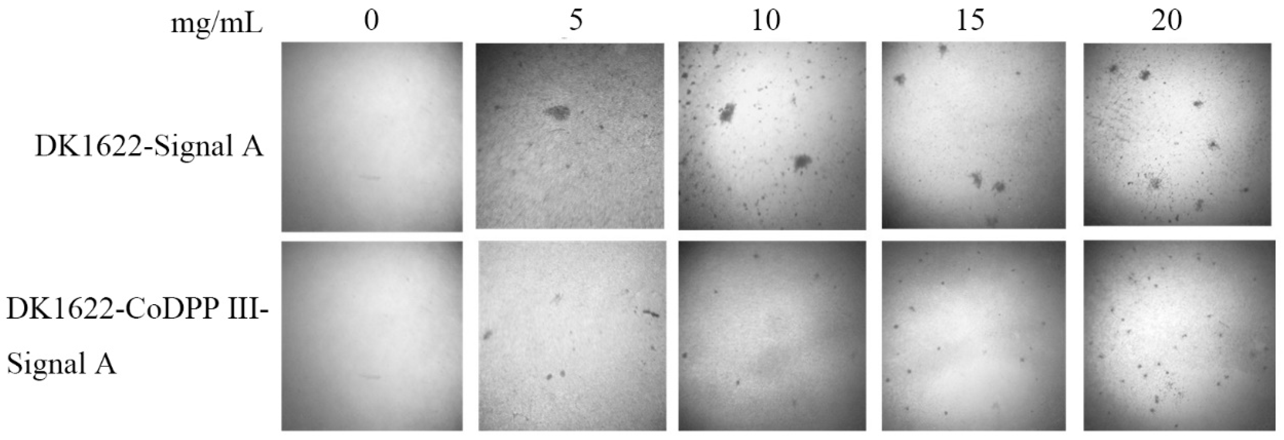 Ijms 24 00631 g010 Ijms 24 00631 g010