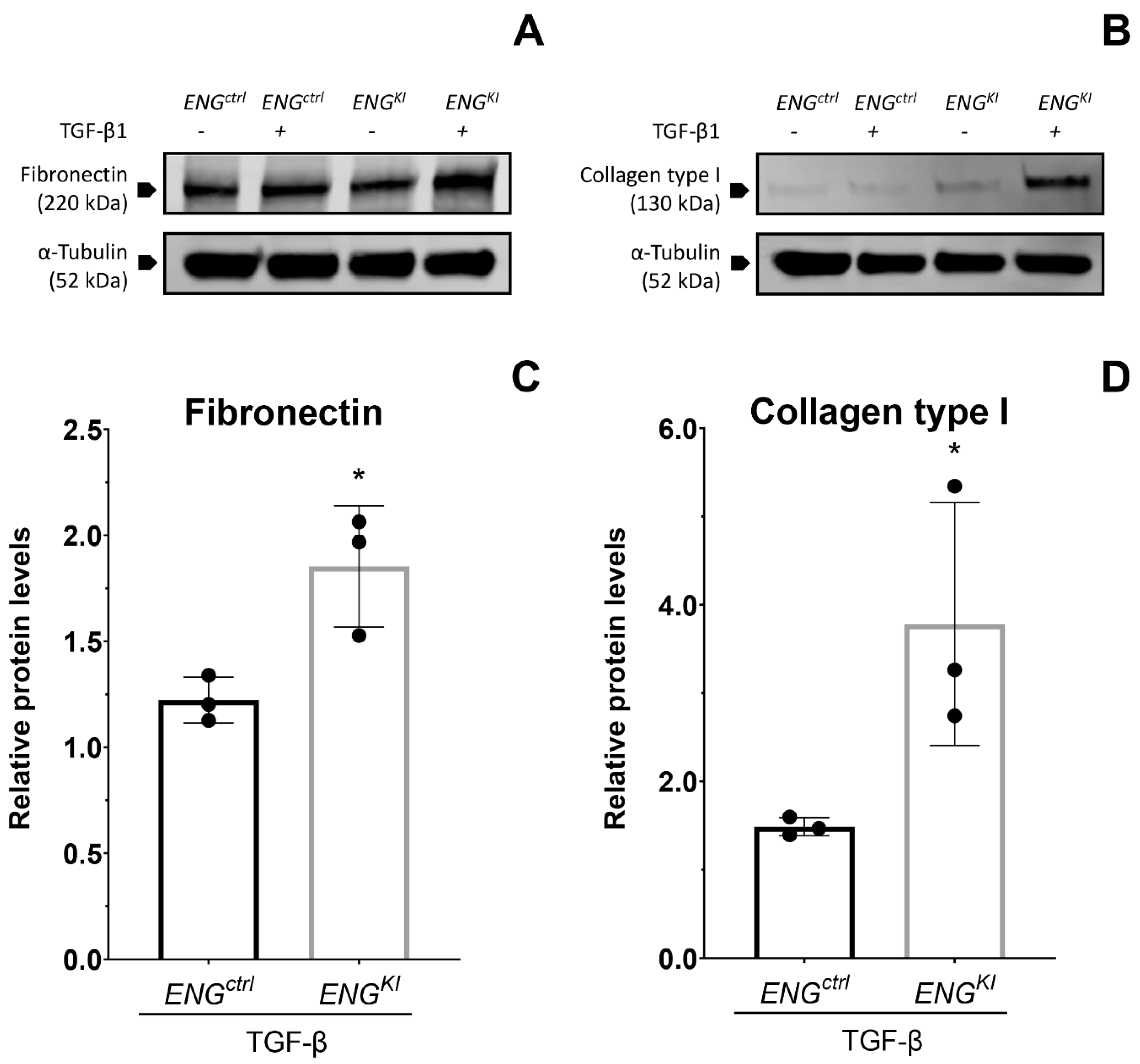 Ijms 24 00646 g005 Ijms 24 00646 g005
