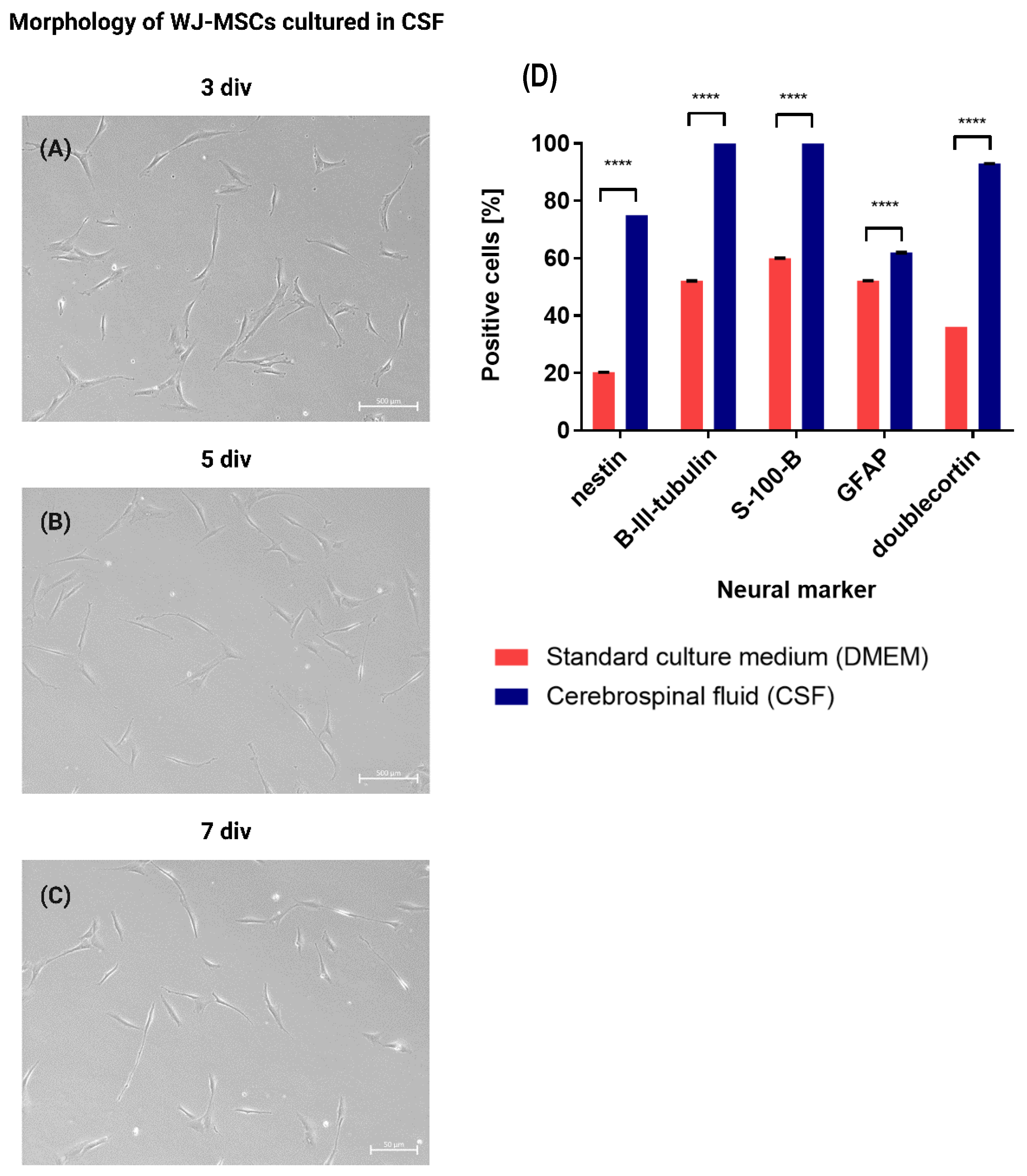 IJMS | Free Full-Text | Evaluation Of The Optimal Manufacturing ...