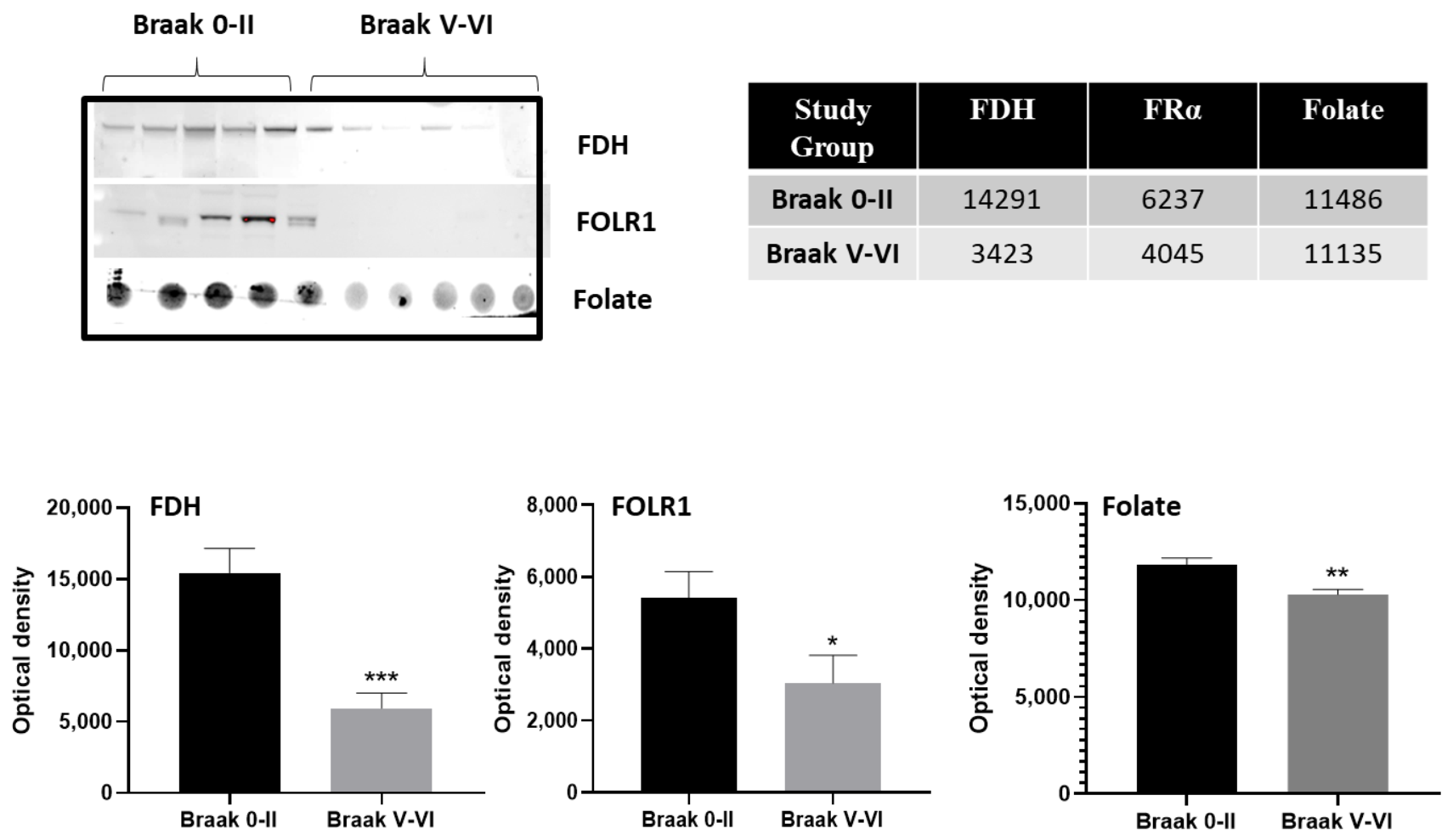 Ijms 24 00660 g001 Ijms 24 00660 g001