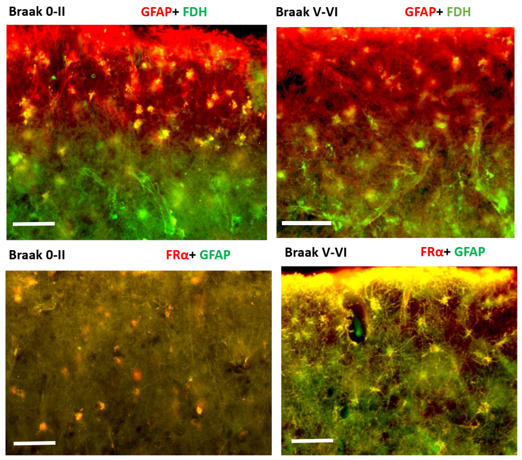 Ijms 24 00660 g005 Ijms 24 00660 g005