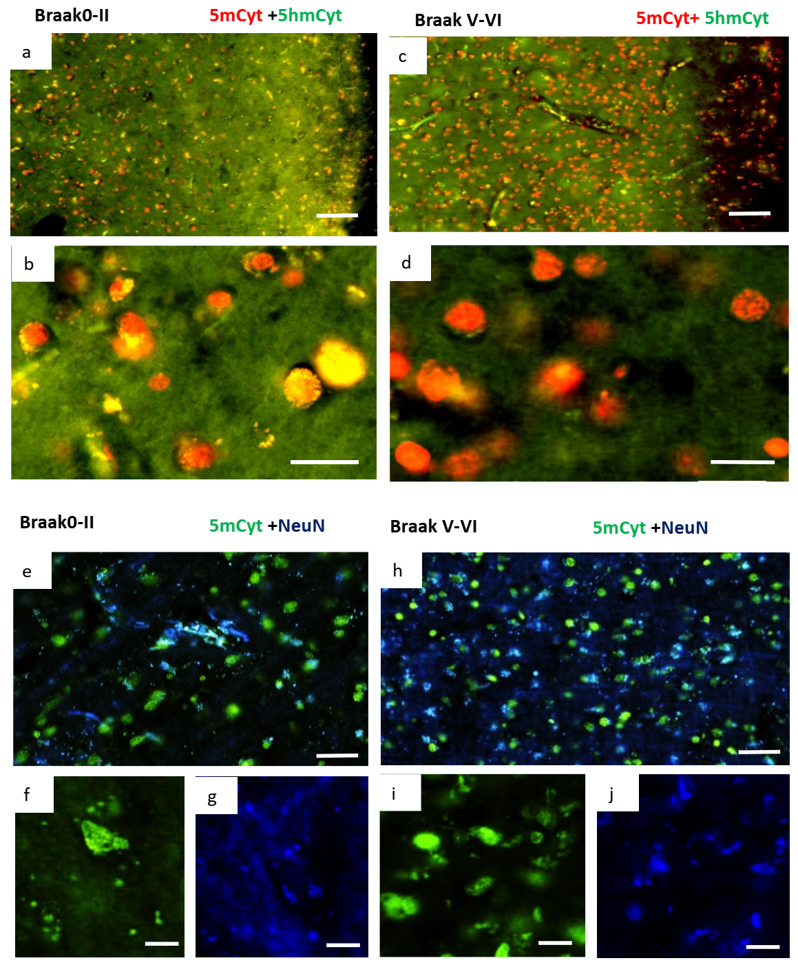 Ijms 24 00660 g007 Ijms 24 00660 g007