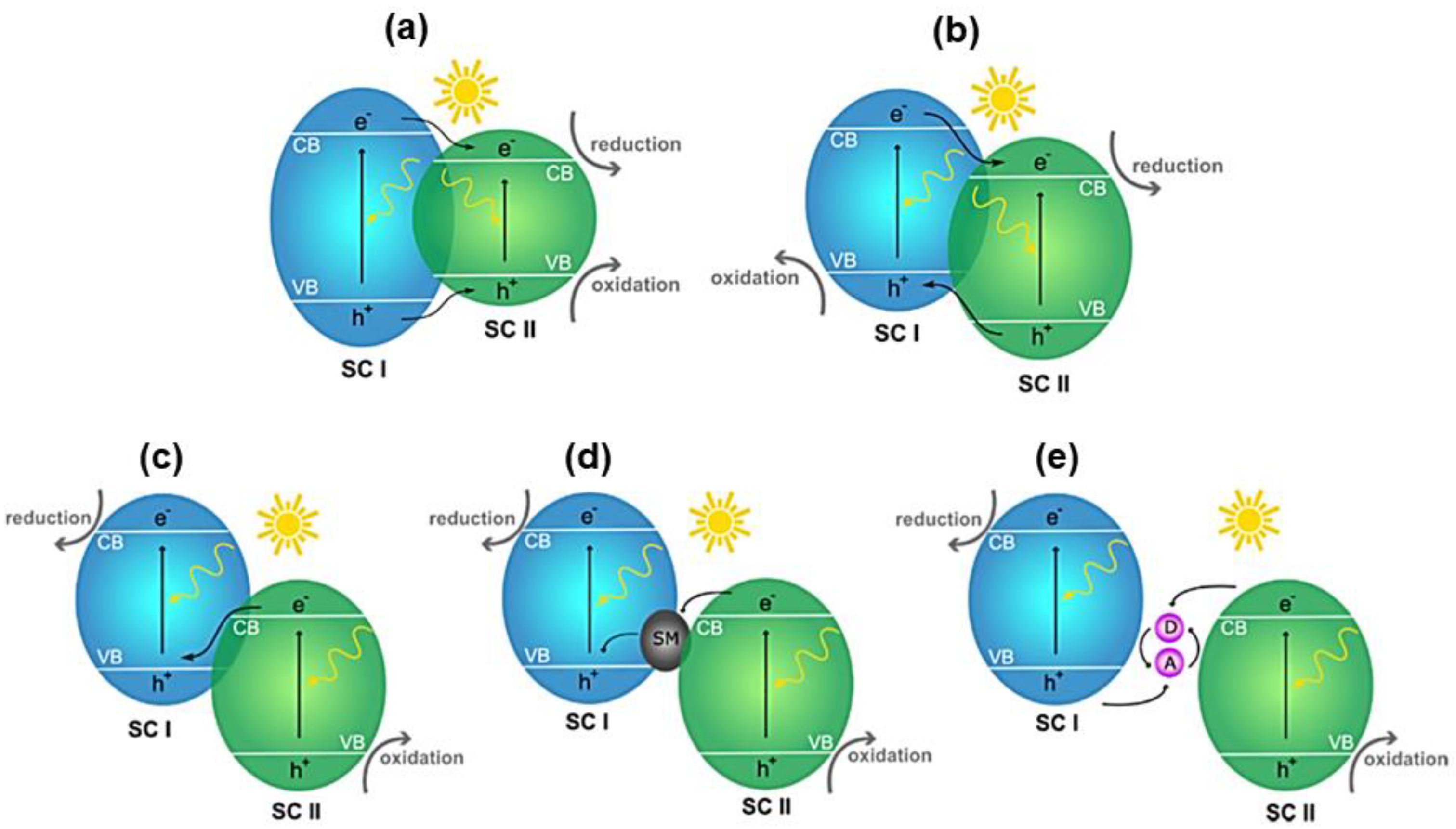 Ijms 24 00663 g003 Ijms 24 00663 g003