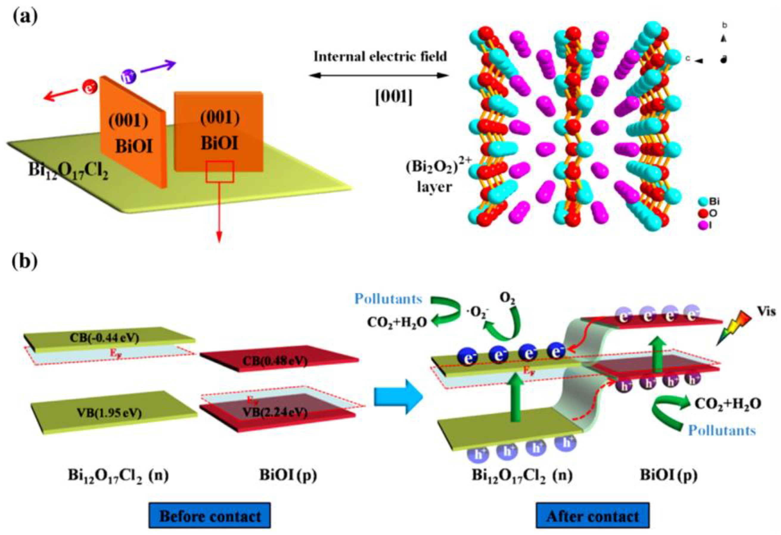 Ijms 24 00663 g010 Ijms 24 00663 g010