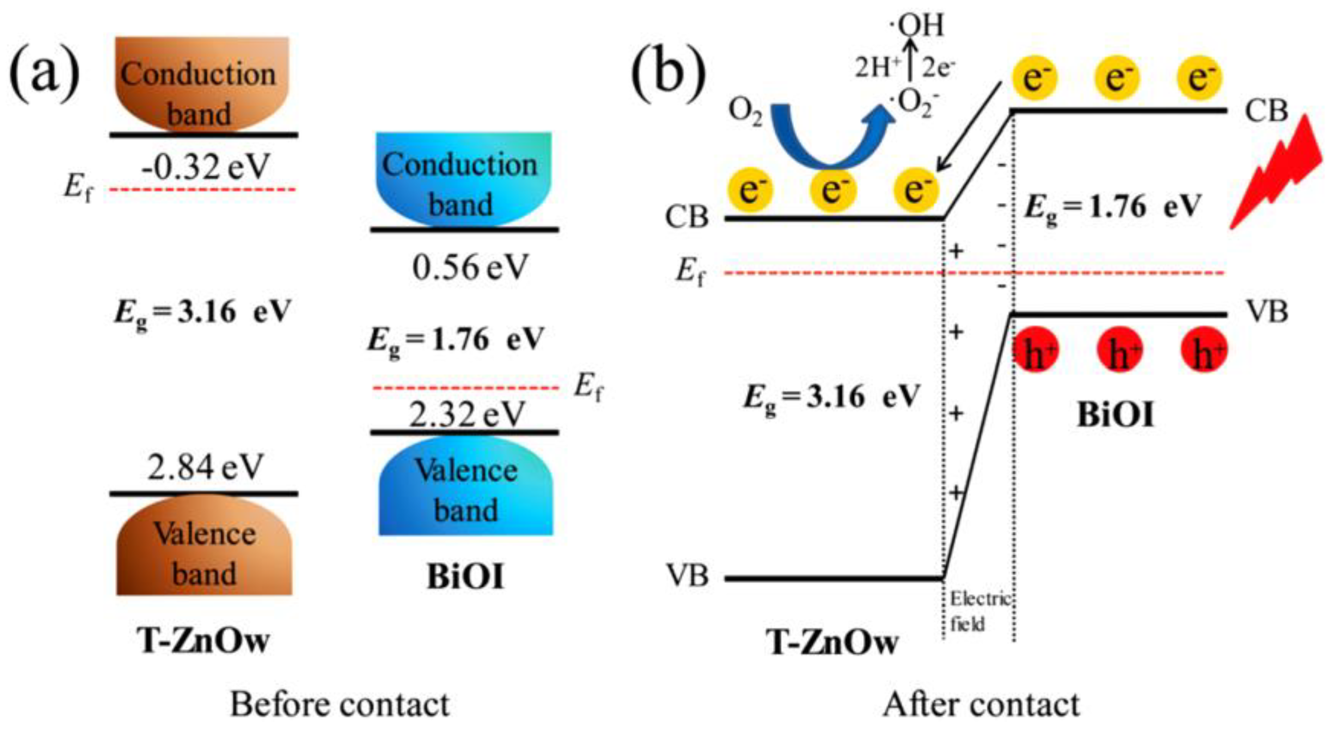 Ijms 24 00663 g011 Ijms 24 00663 g011