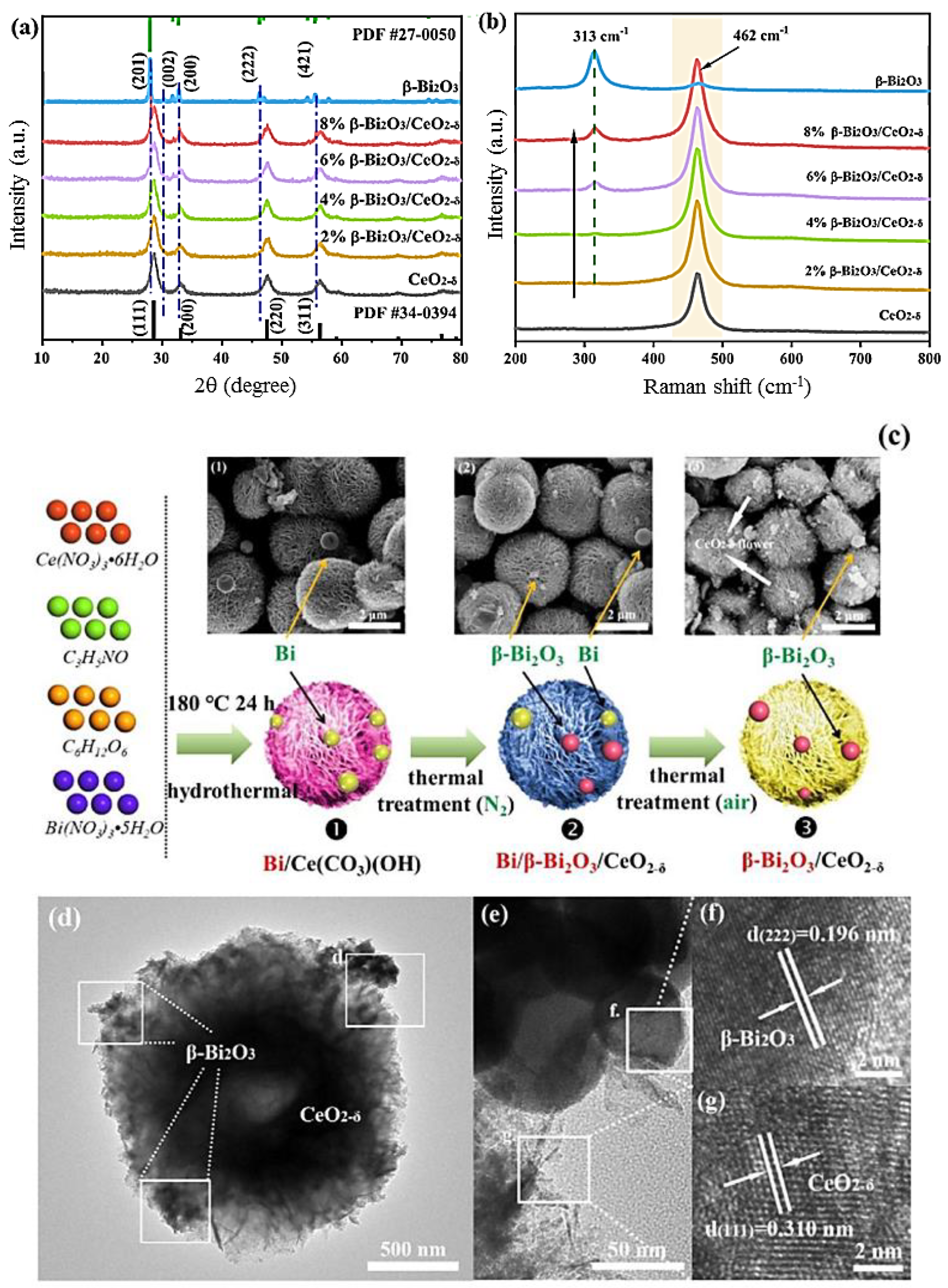 Ijms 24 00663 g012 Ijms 24 00663 g012