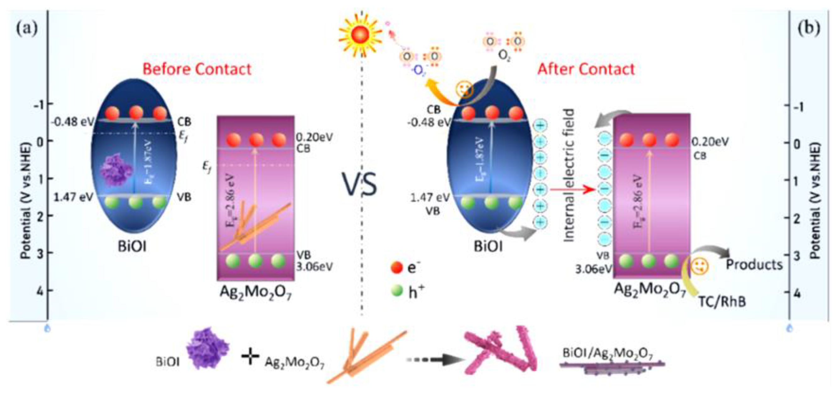 Ijms 24 00663 g013 Ijms 24 00663 g013