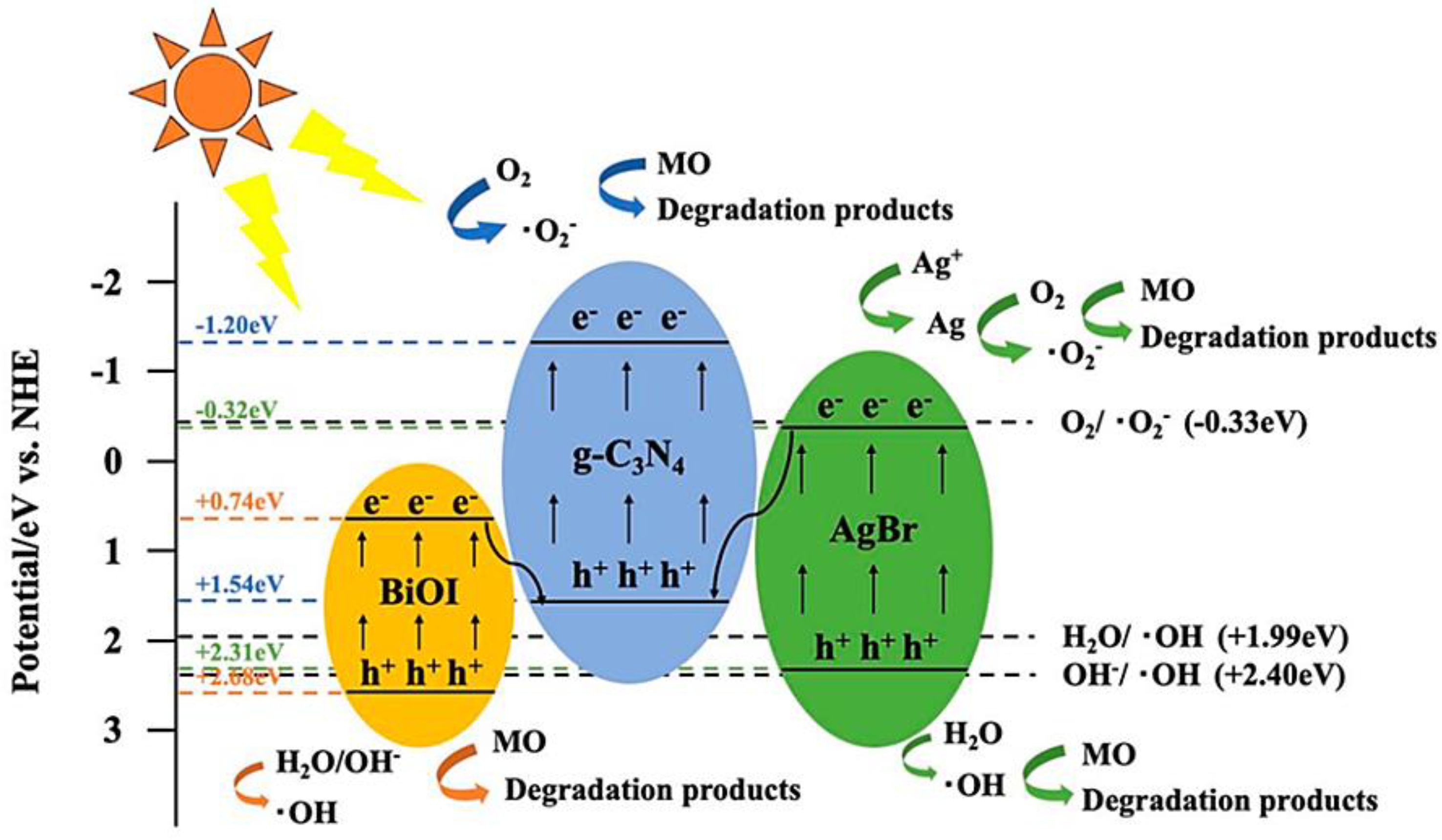 Ijms 24 00663 g014 Ijms 24 00663 g014