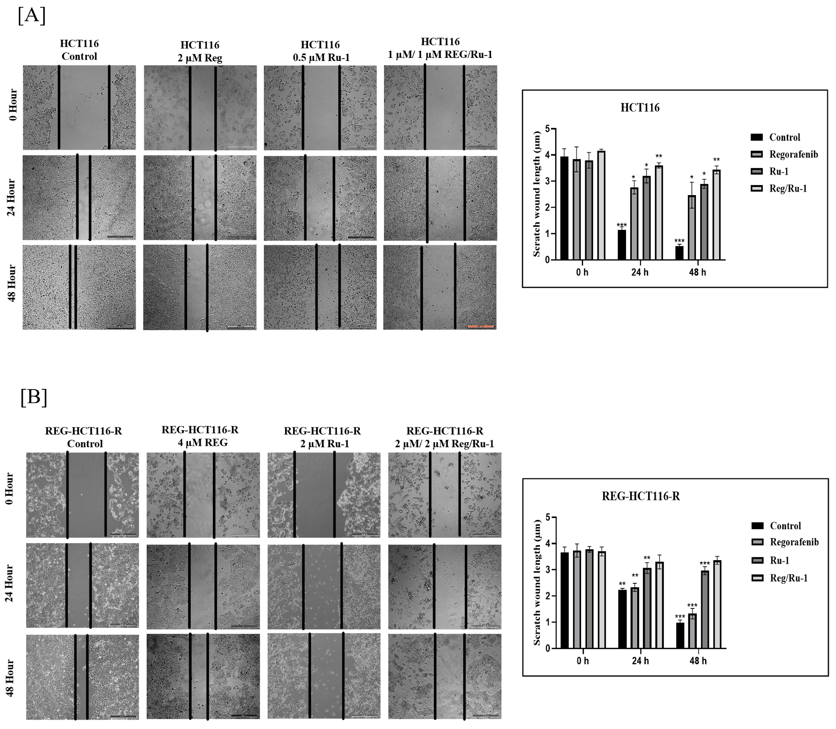 Ijms 24 00686 g005 Ijms 24 00686 g005