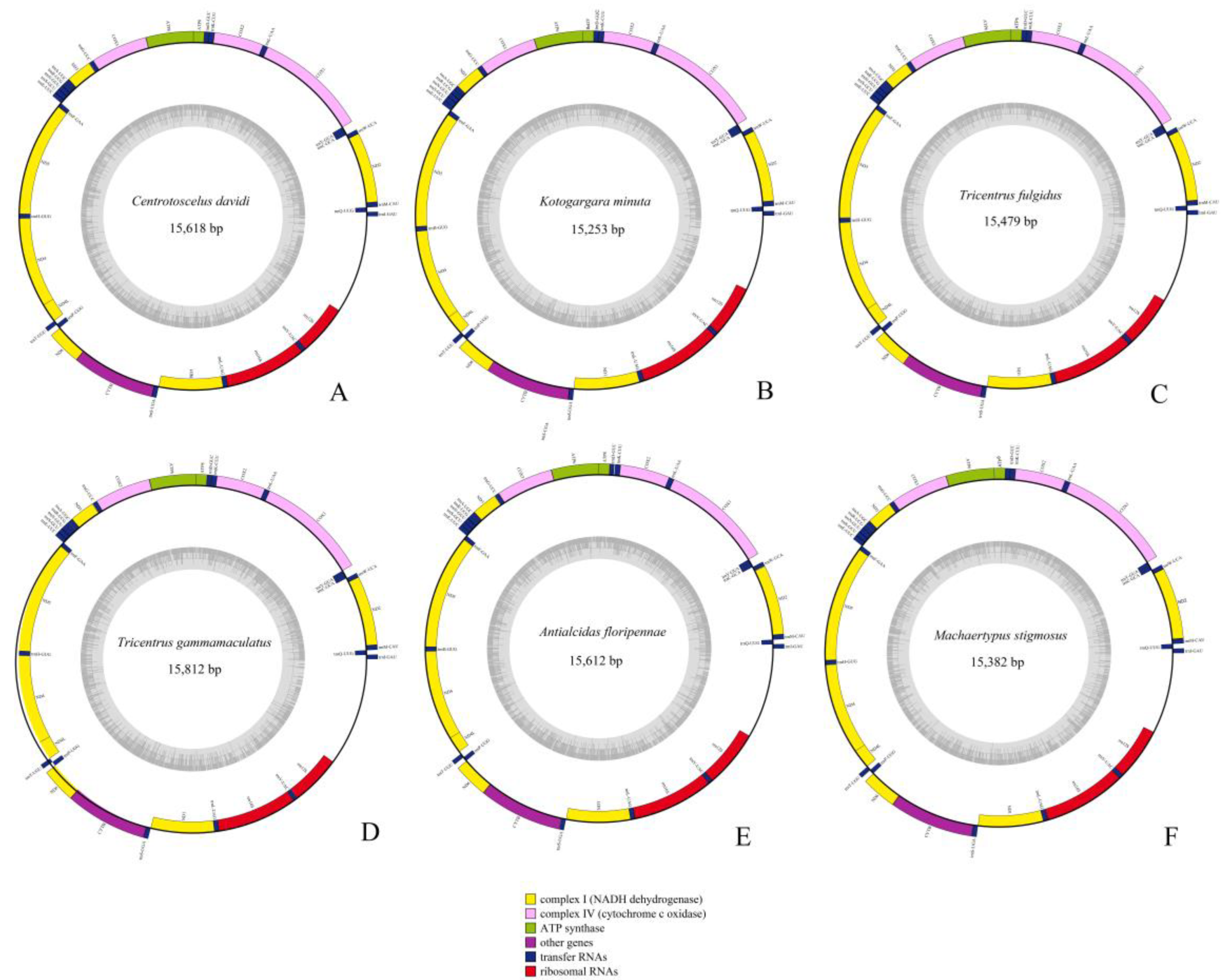 Ijms 24 00694 g002 Ijms 24 00694 g002