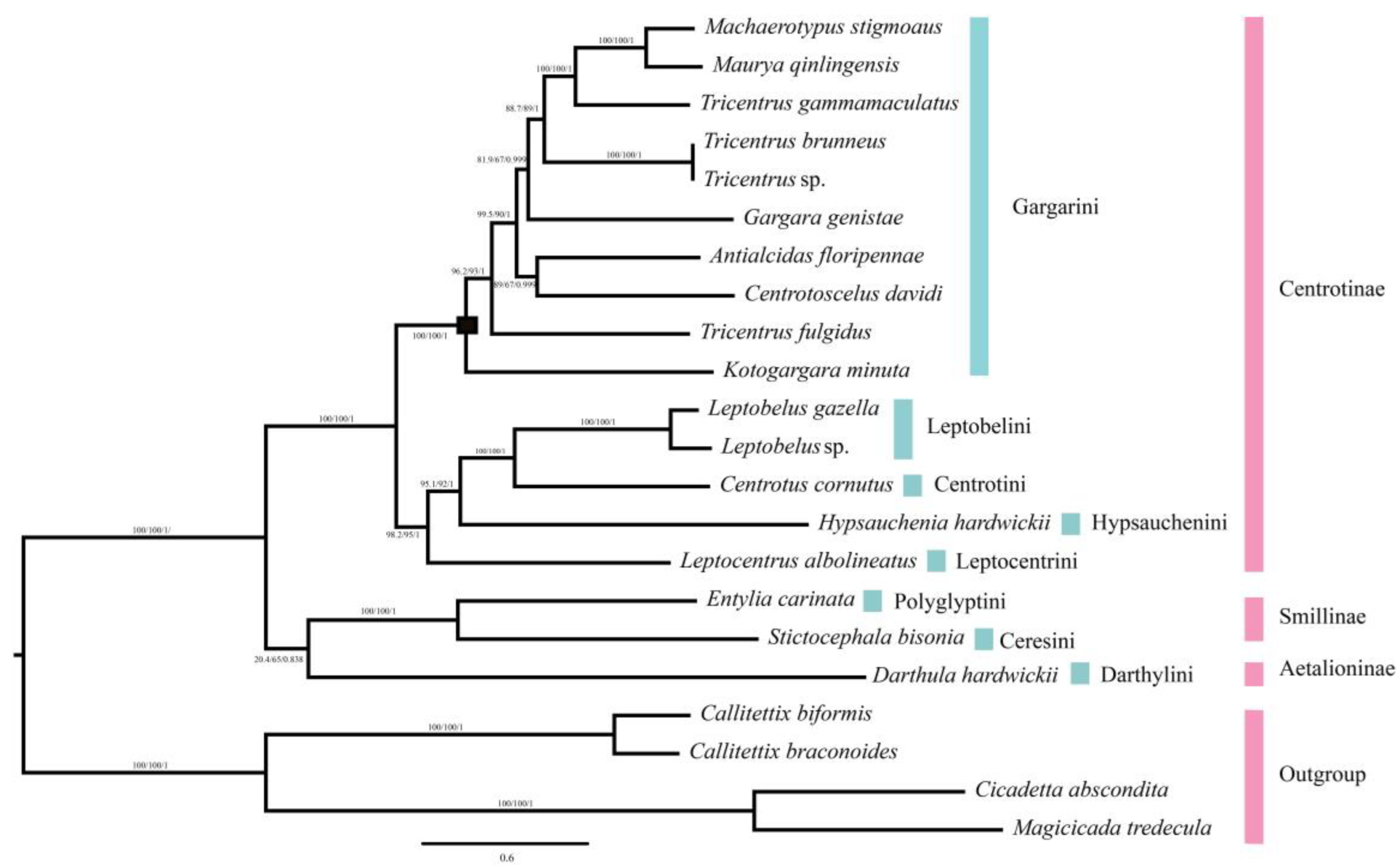 Ijms 24 00694 g005 Ijms 24 00694 g005