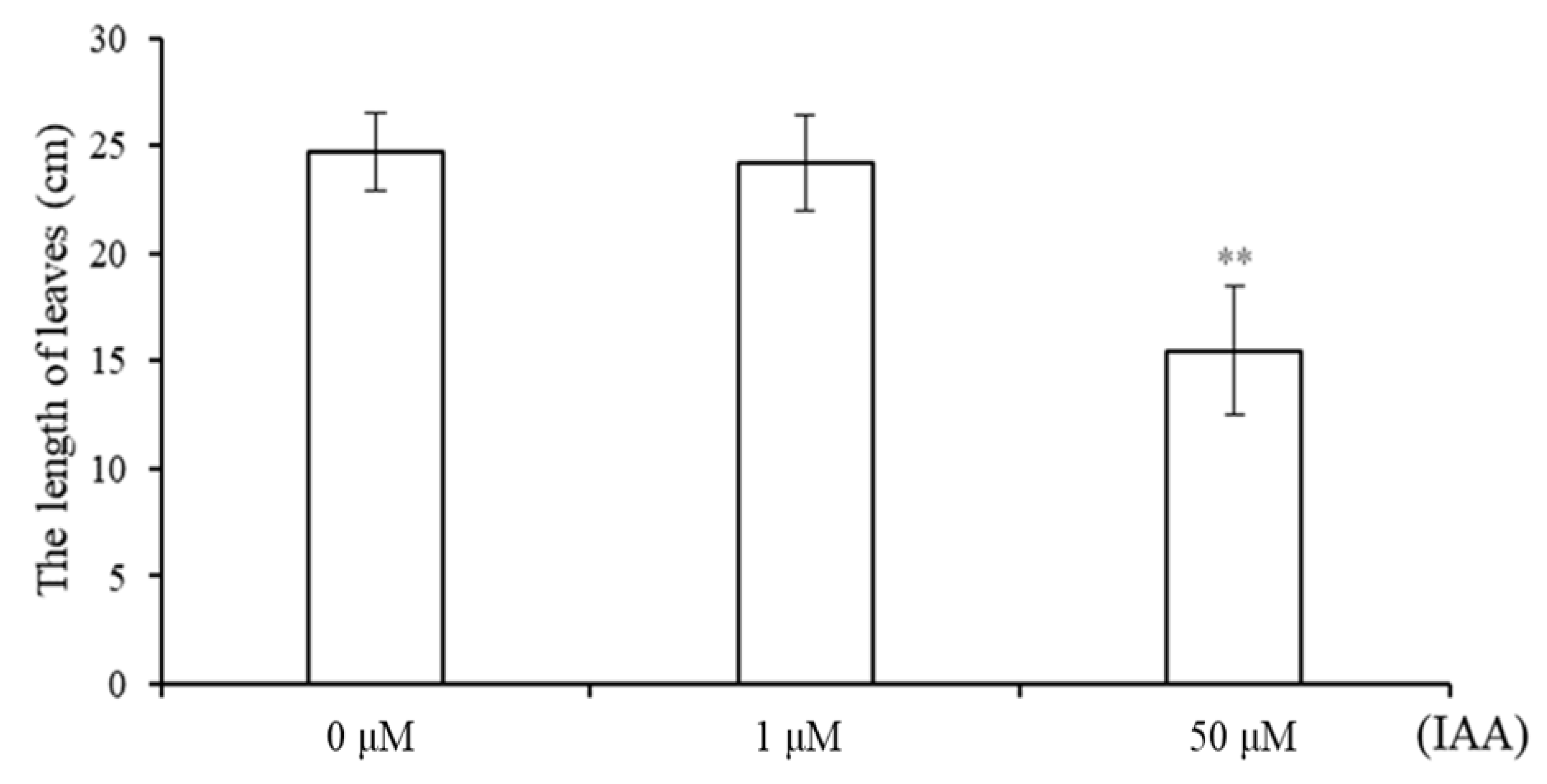 Ijms 24 00756 g001 Ijms 24 00756 g001