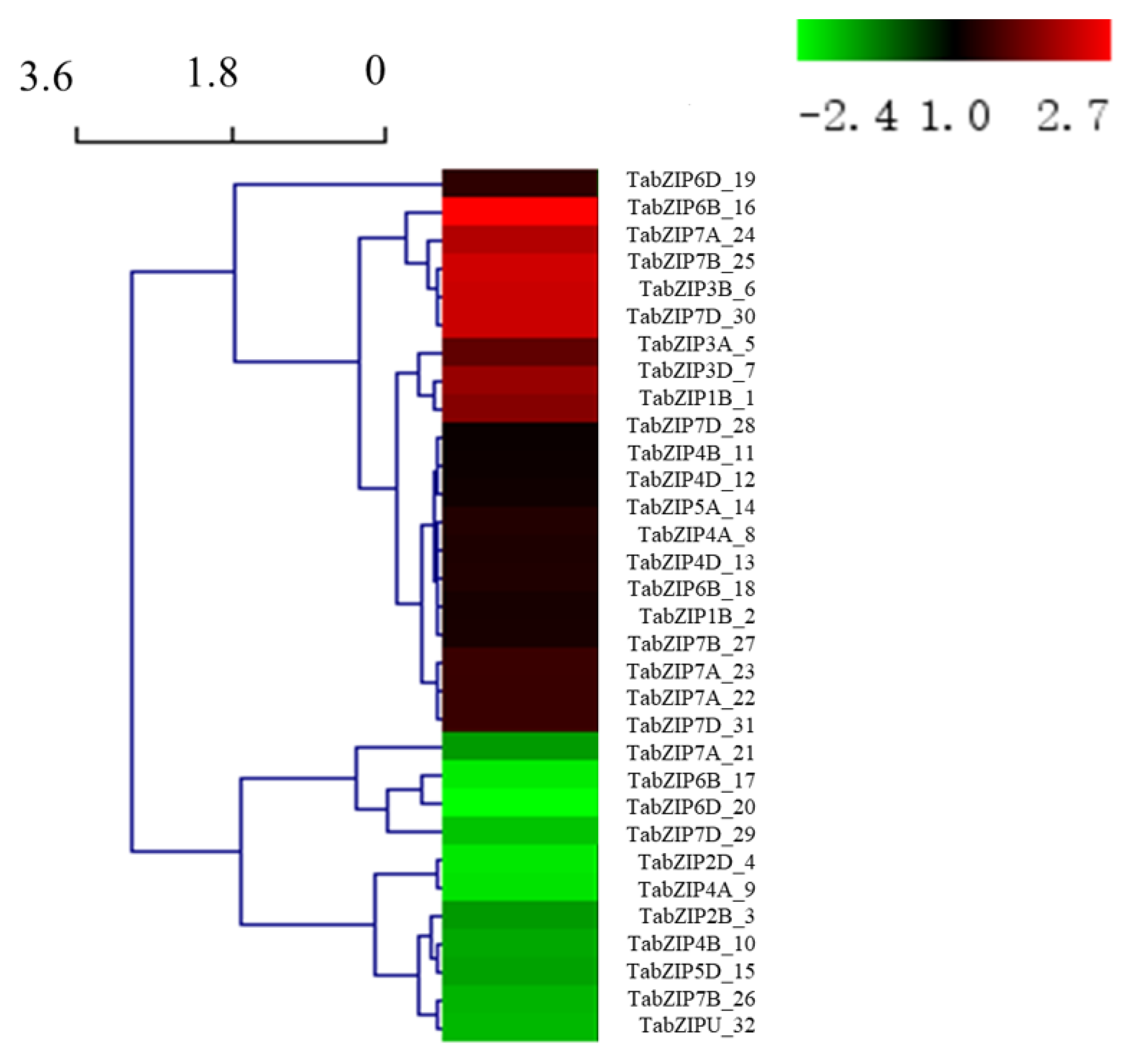 Ijms 24 00756 g004 Ijms 24 00756 g004