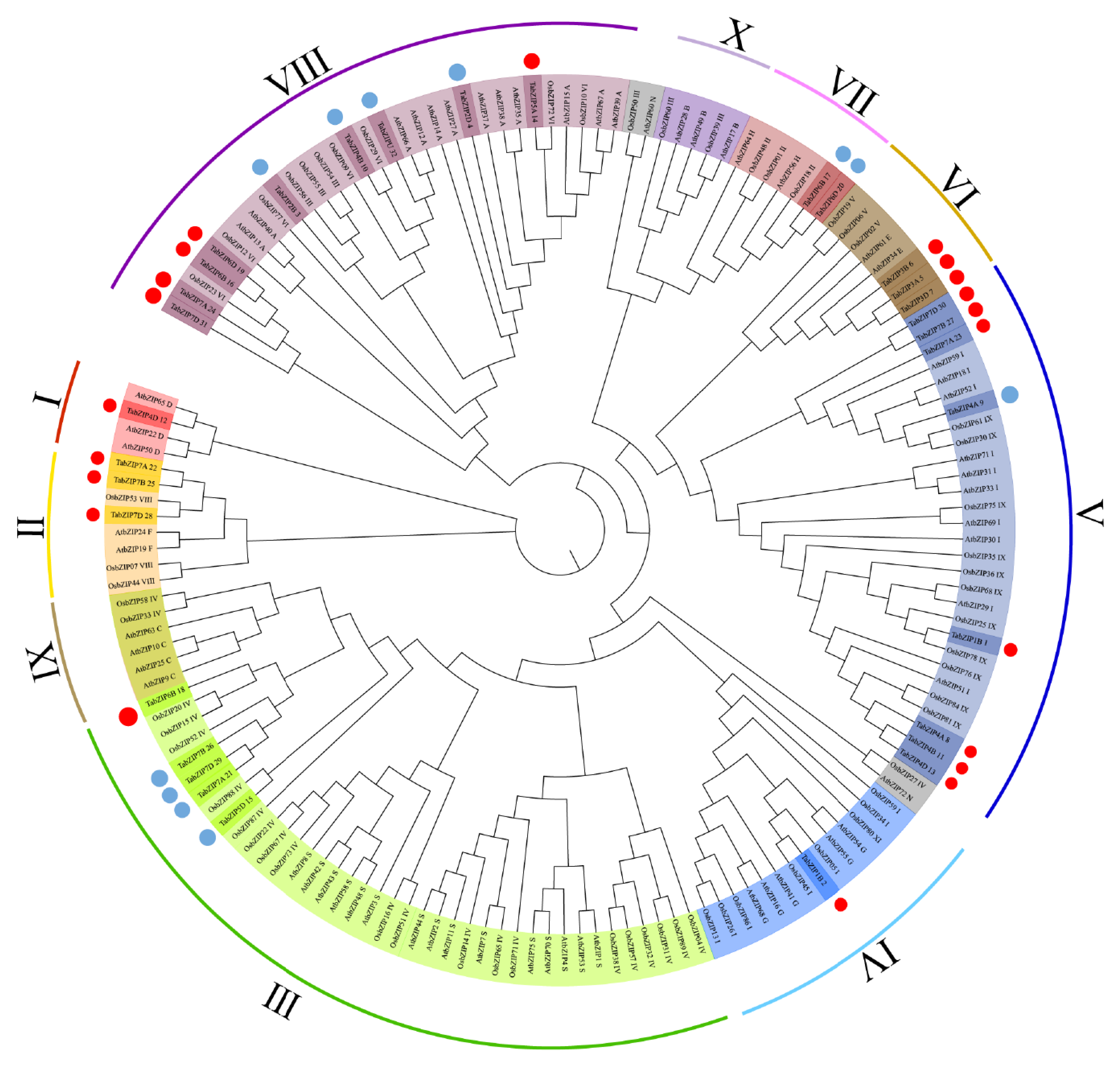 Ijms 24 00756 g005 Ijms 24 00756 g005