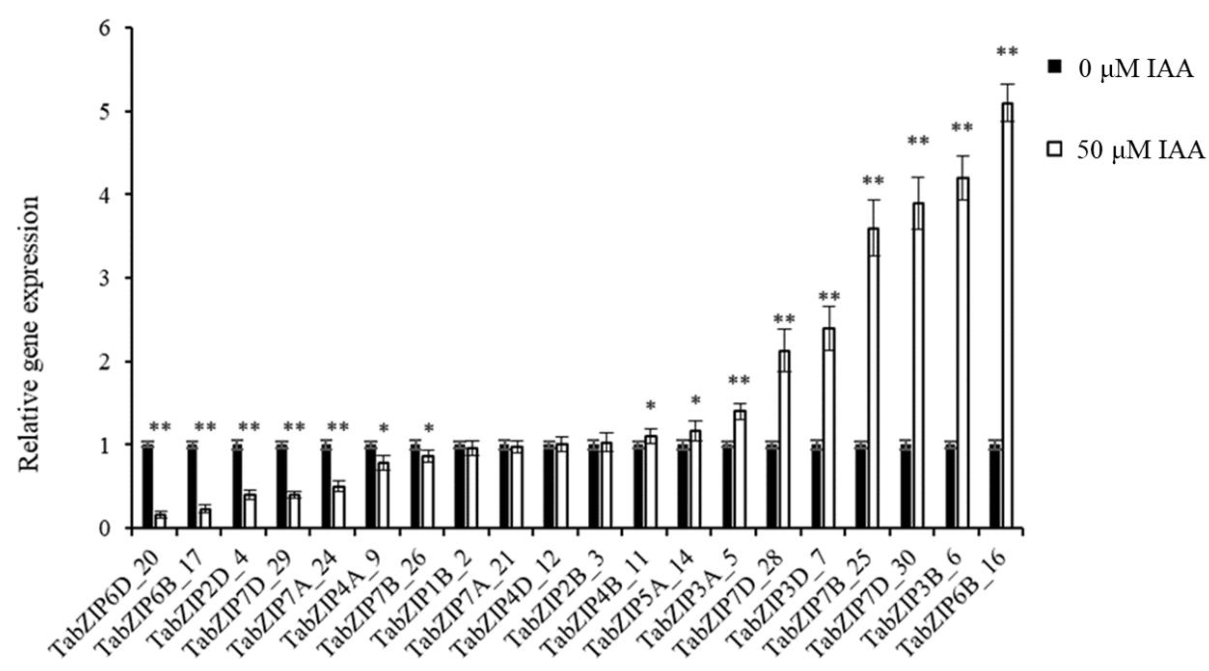 Ijms 24 00756 g008 Ijms 24 00756 g008