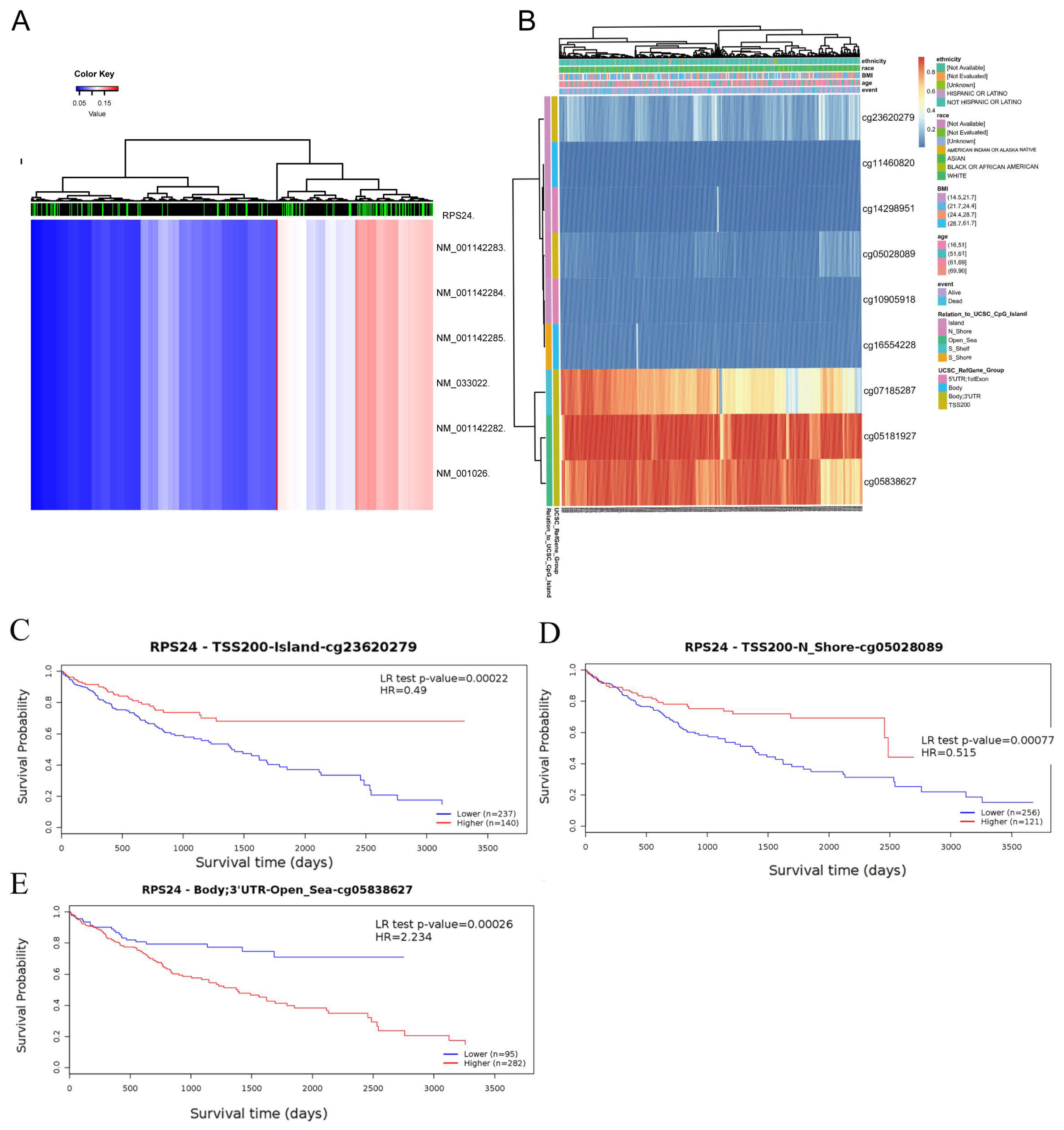 Ijms 24 00806 g004 Ijms 24 00806 g004