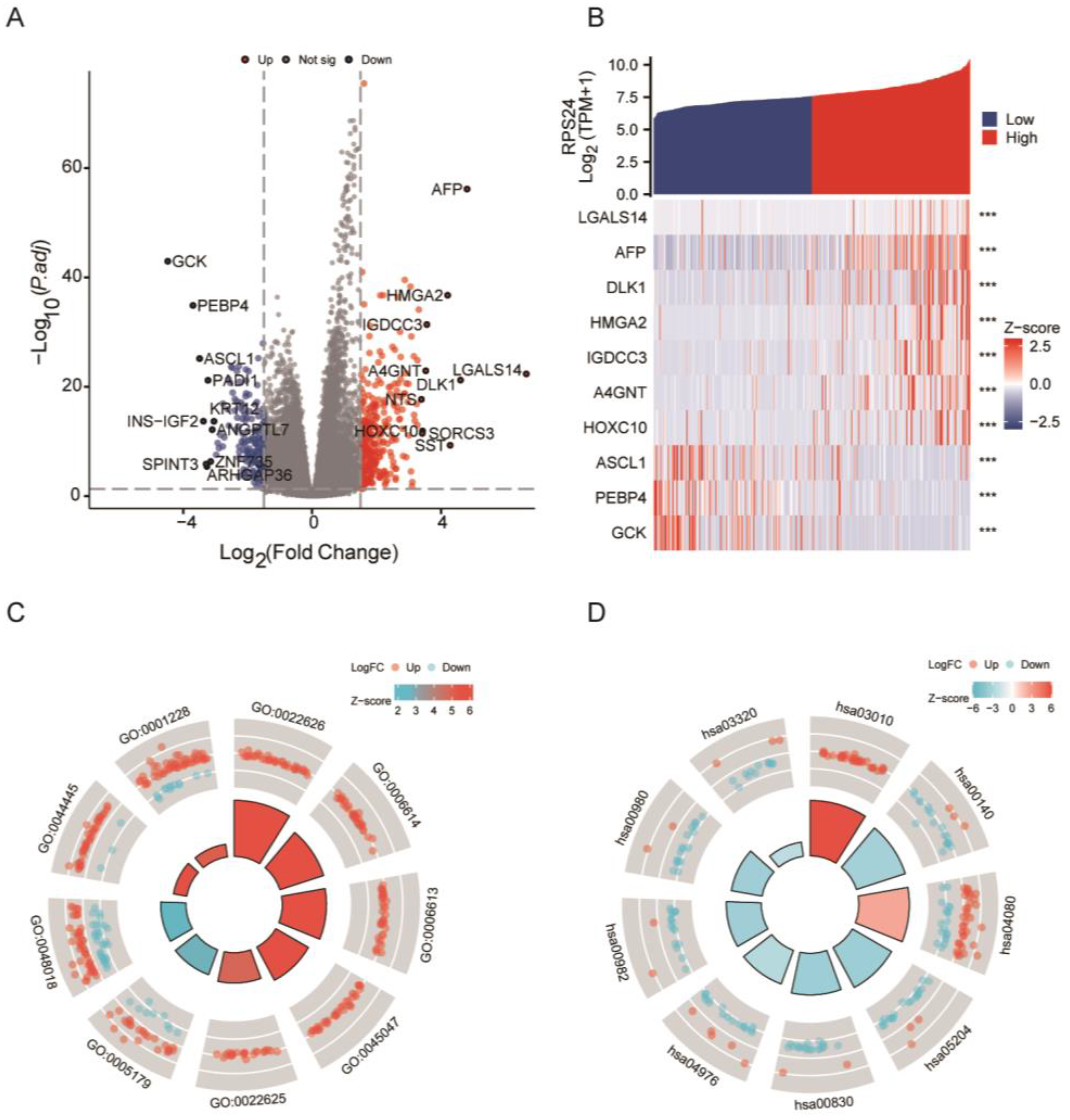 Ijms 24 00806 g005 Ijms 24 00806 g005