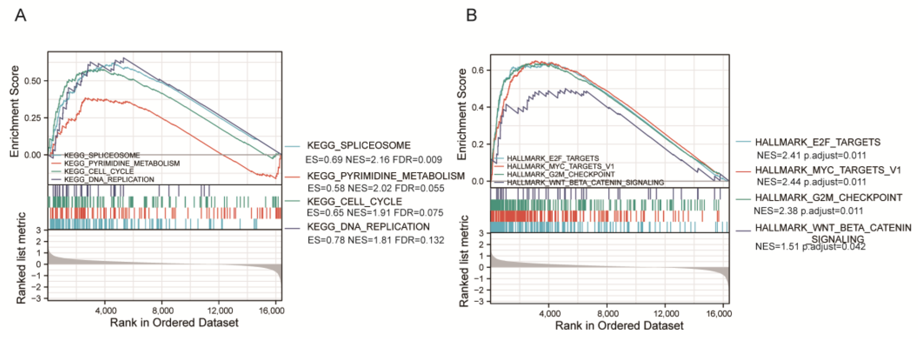 Ijms 24 00806 g006 Ijms 24 00806 g006