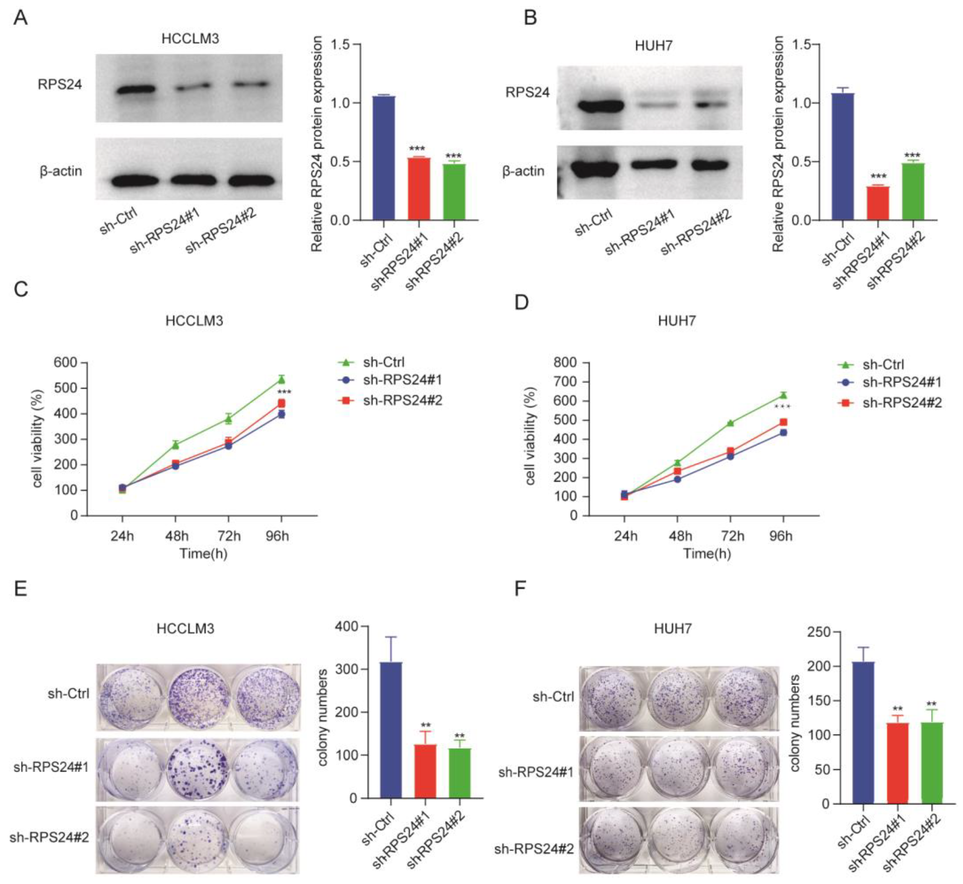Ijms 24 00806 g010 Ijms 24 00806 g010